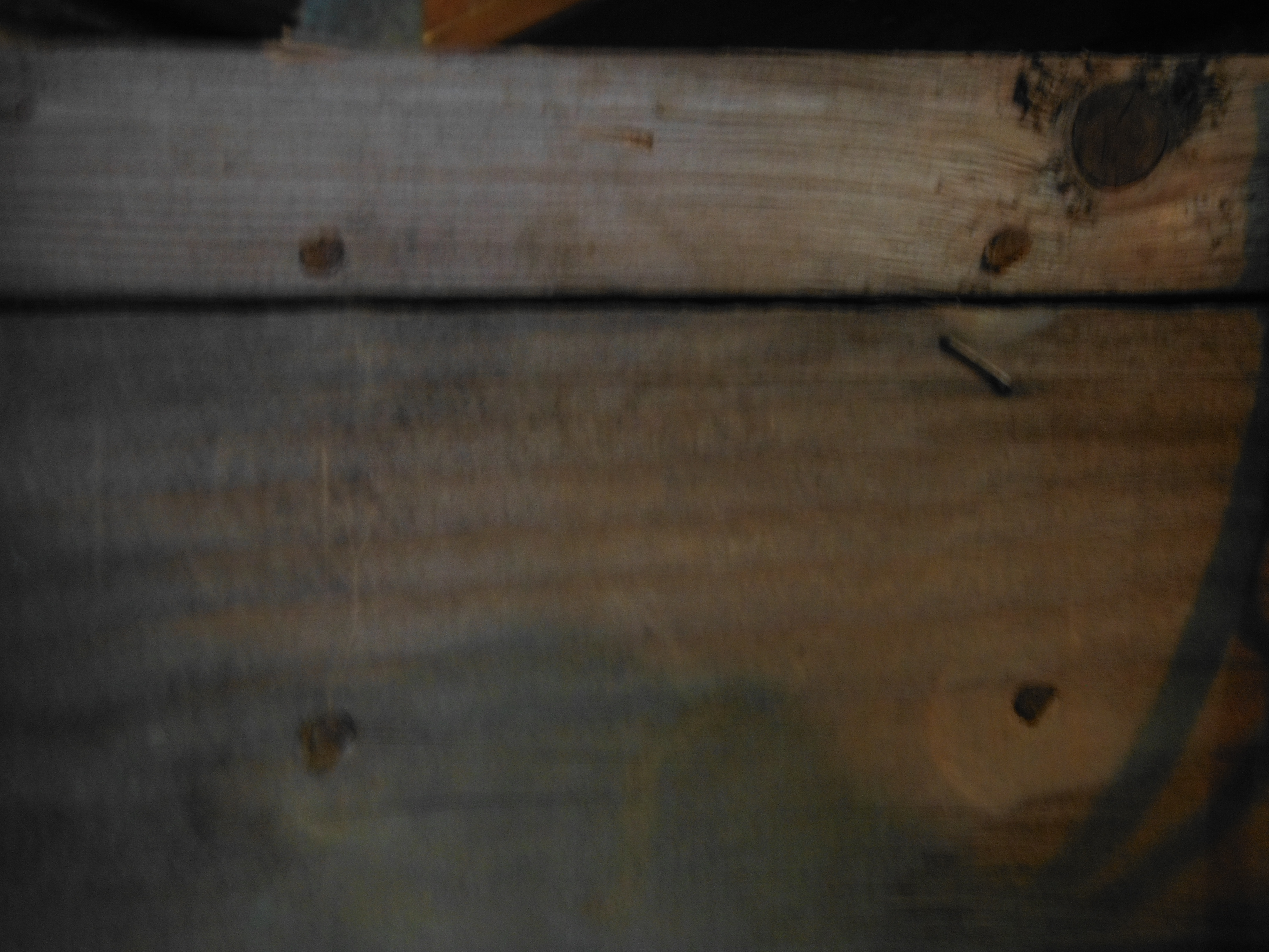 DSCF0860.JPG