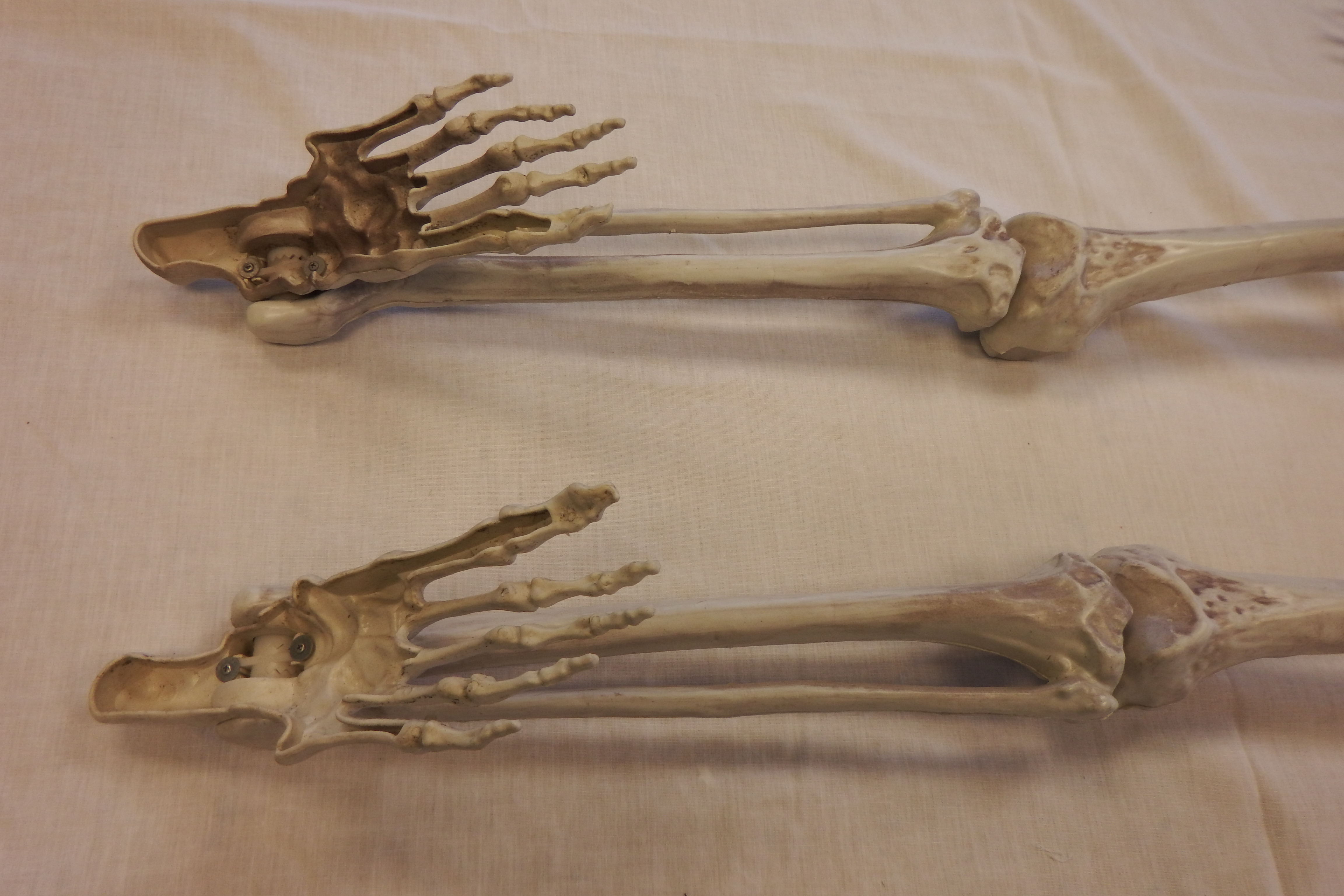 DSCF1912.JPG
