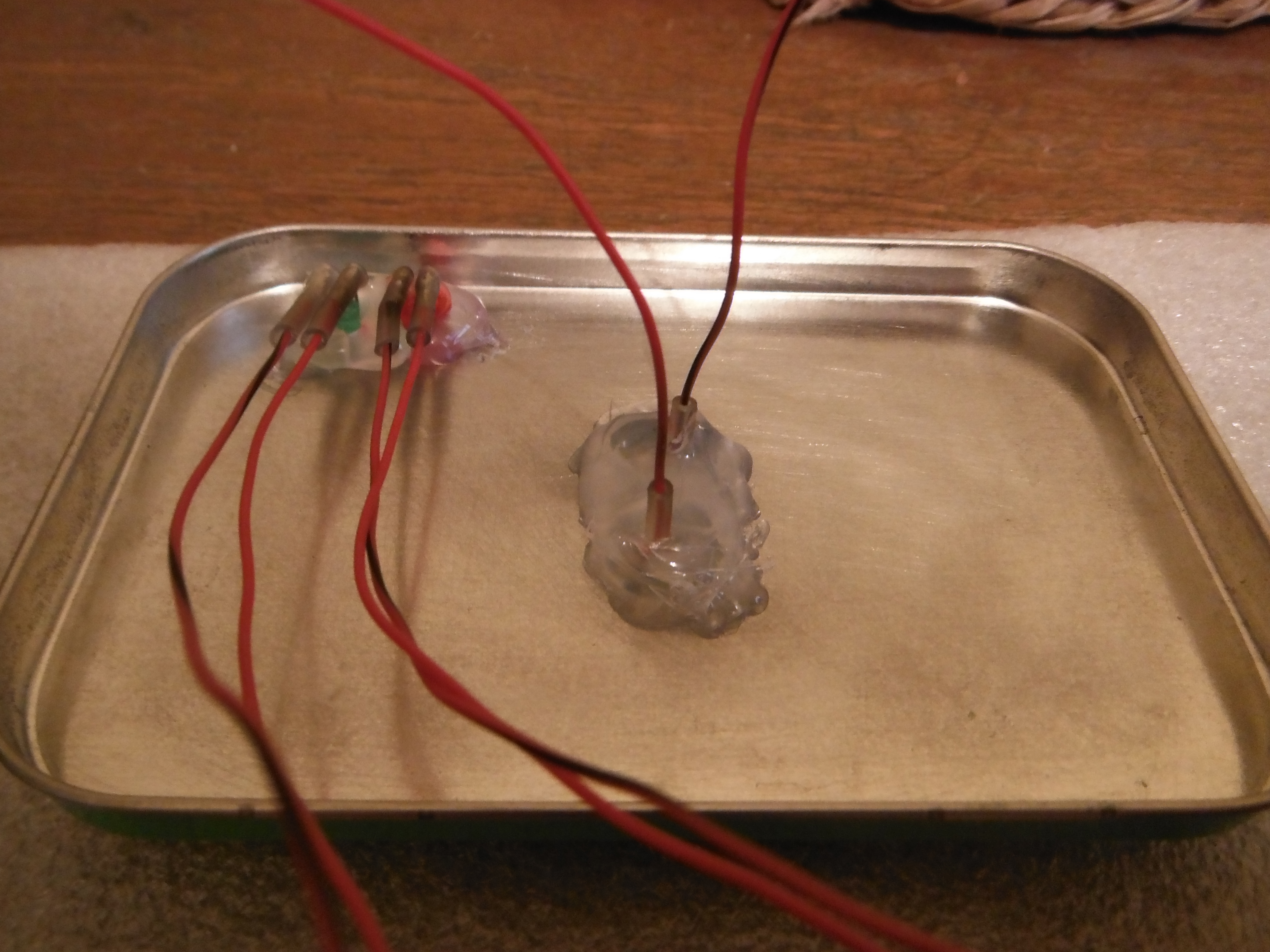 DSCF2085.JPG