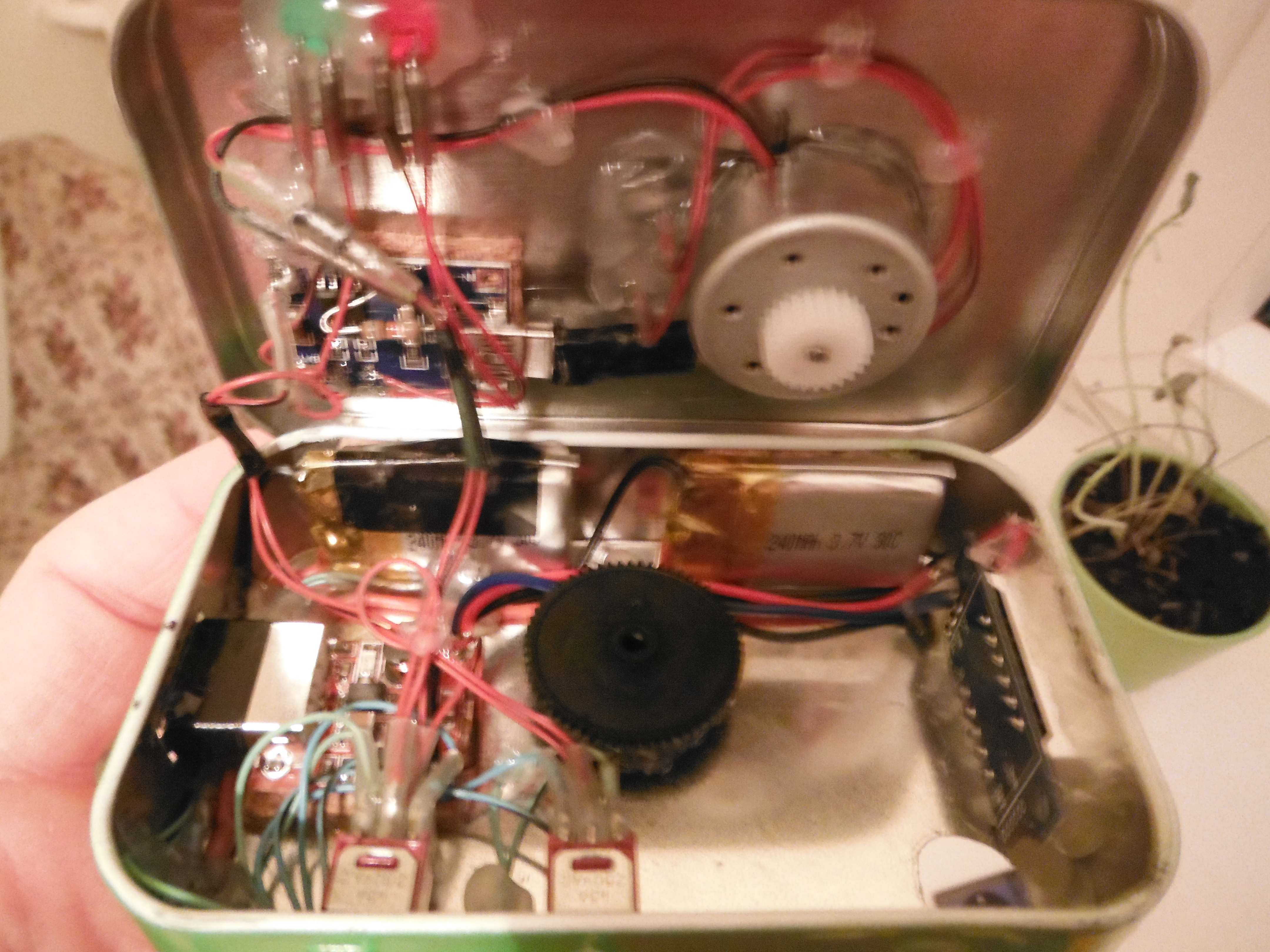 DSCF2174.JPG