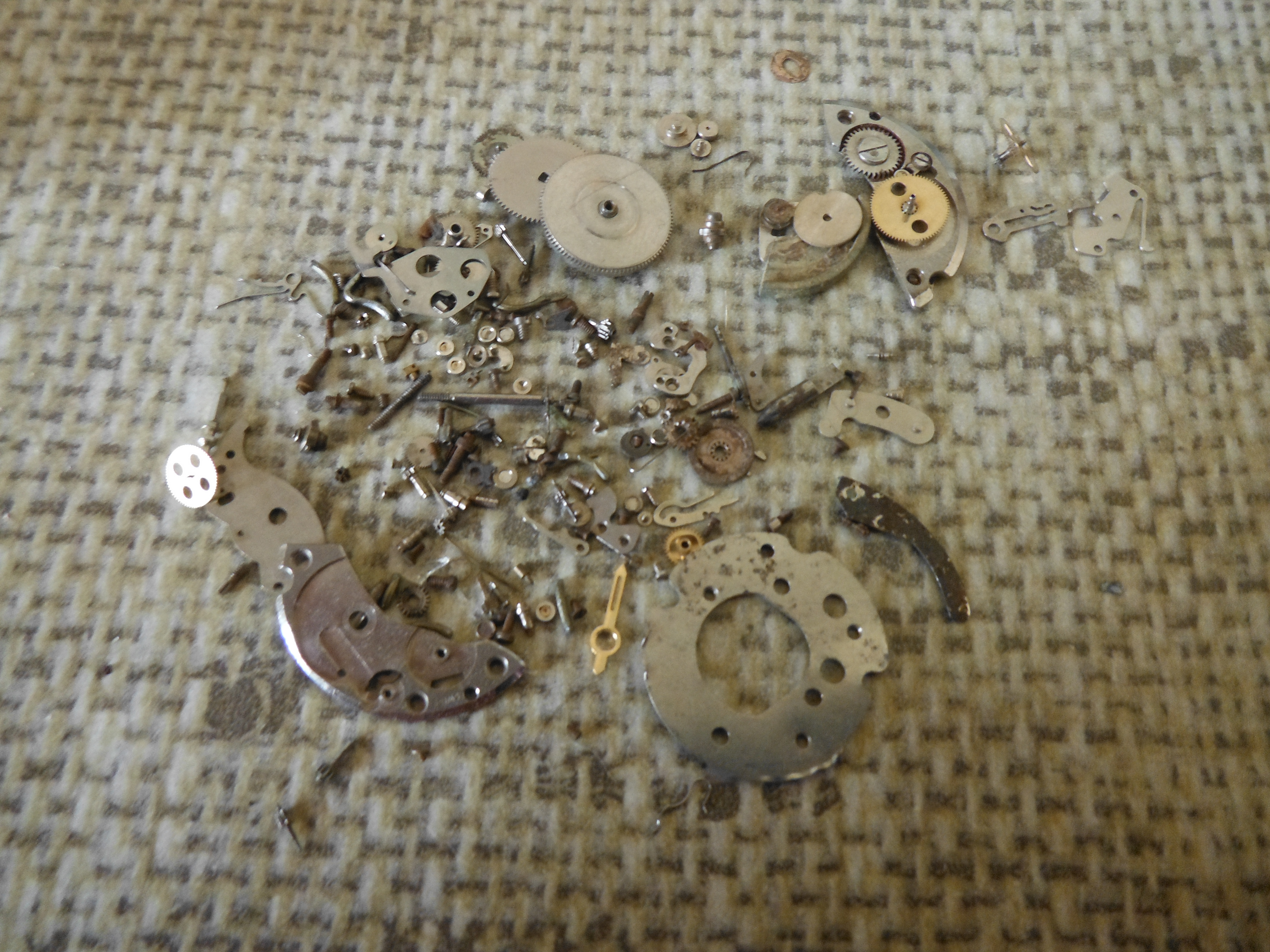 DSCF2351.JPG