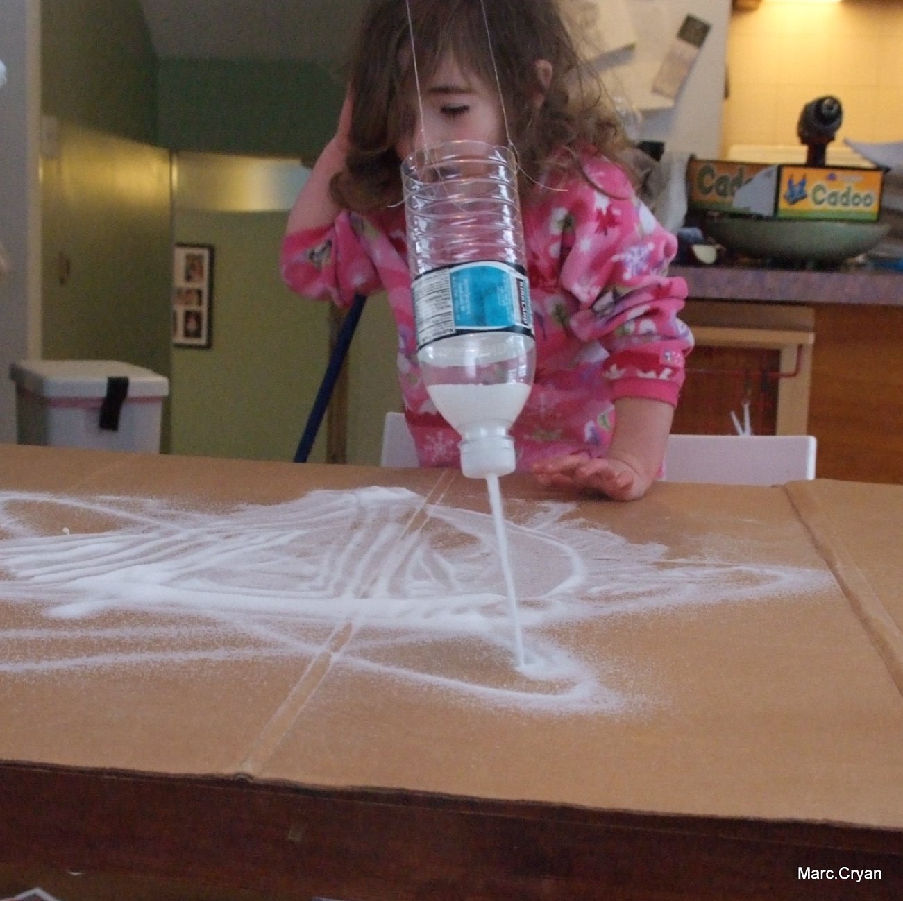 DSCF2396.JPG