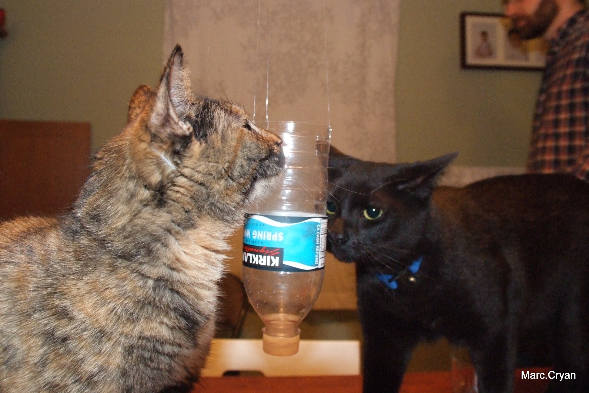 DSCF2555.JPG