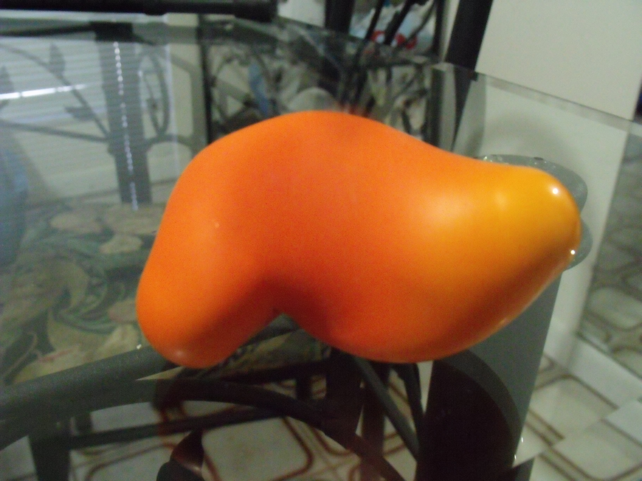 DSCF3017.JPG