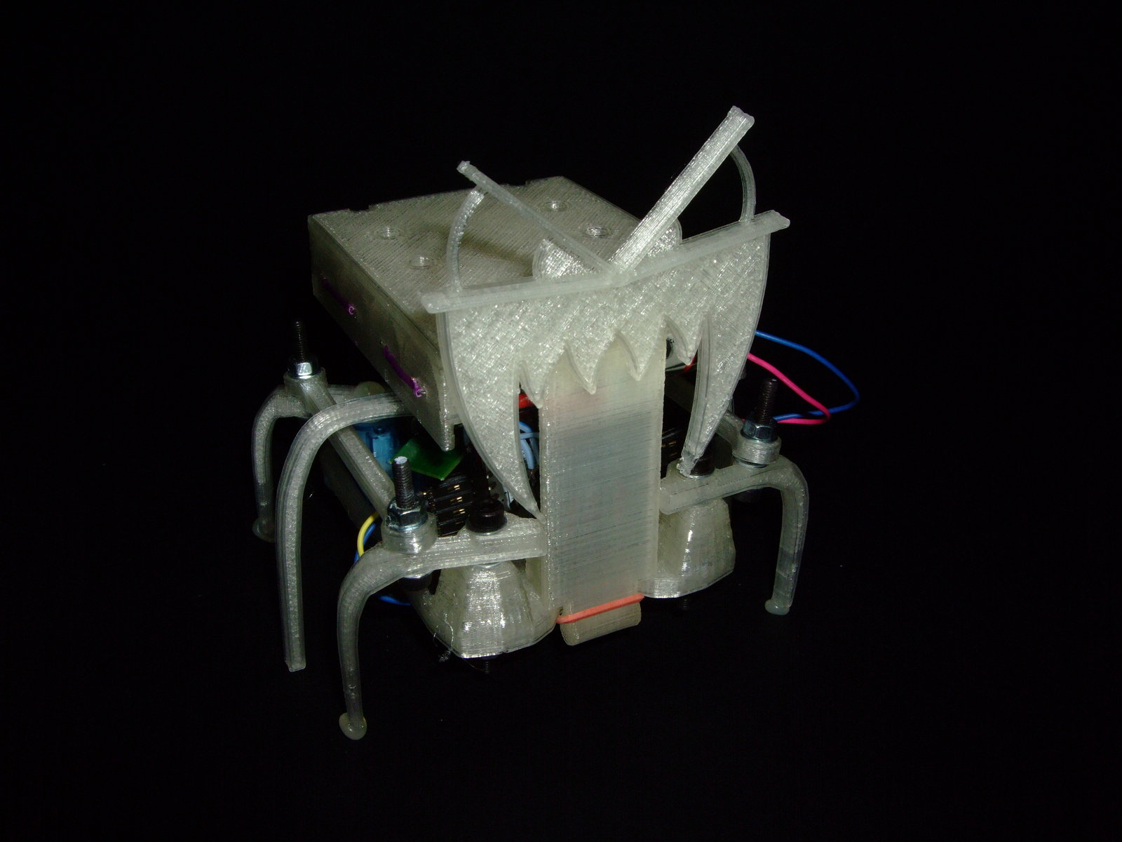 DSCF3148.JPG