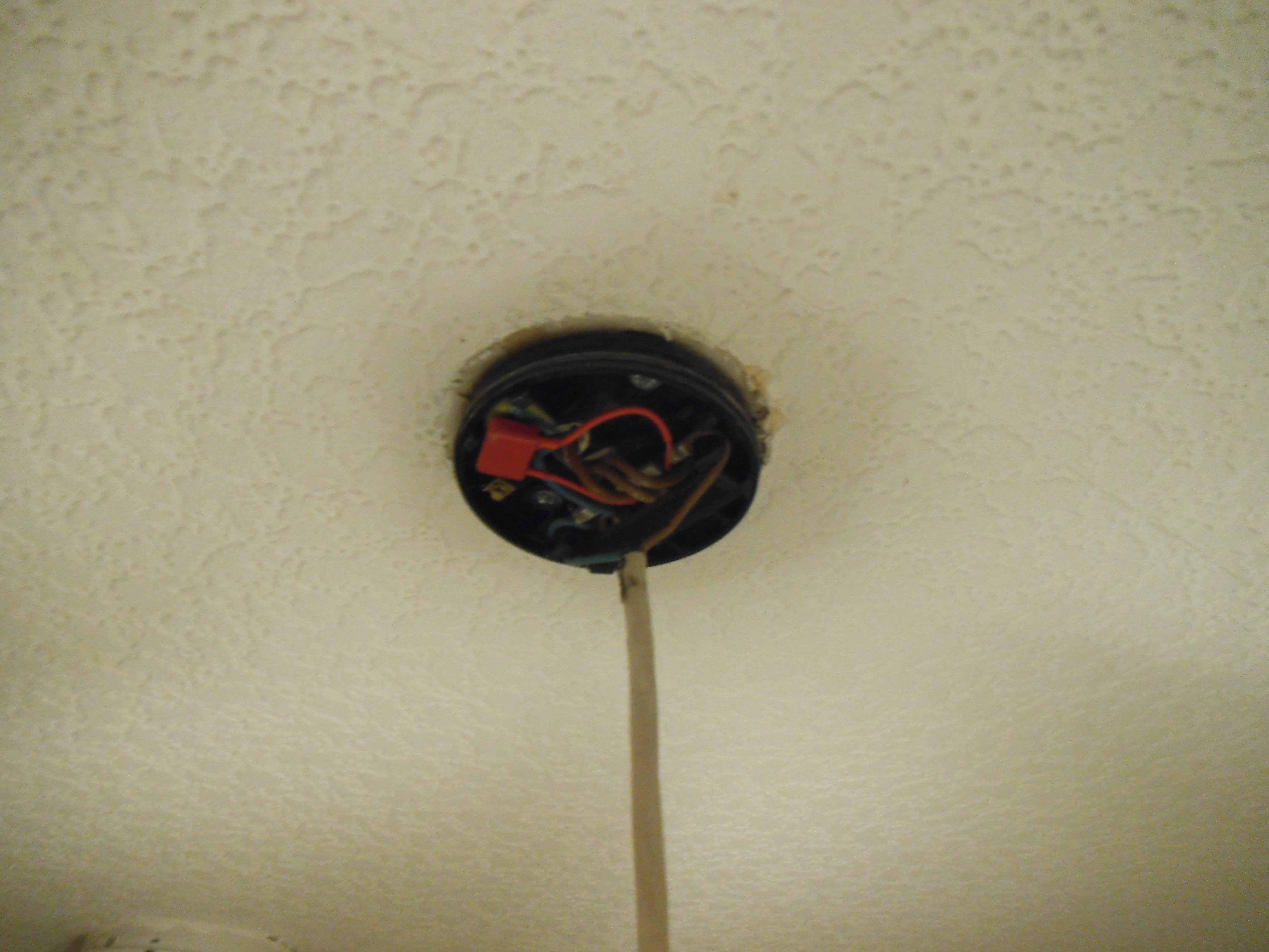 DSCF3674.JPG