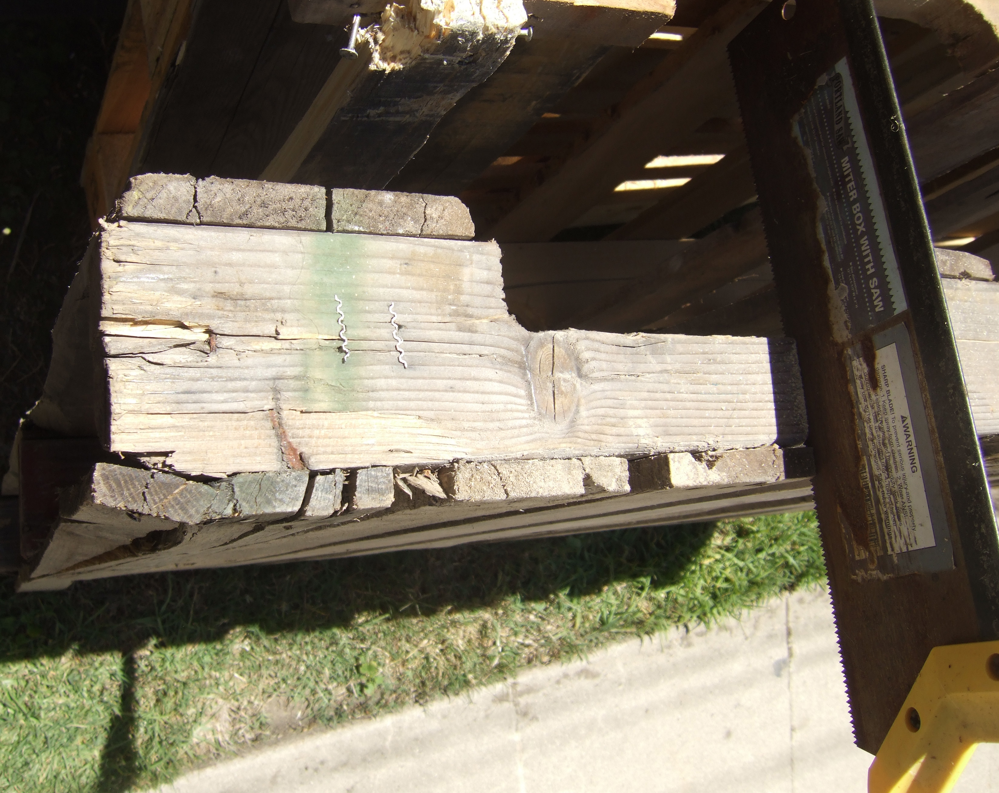 DSCF4337.JPG