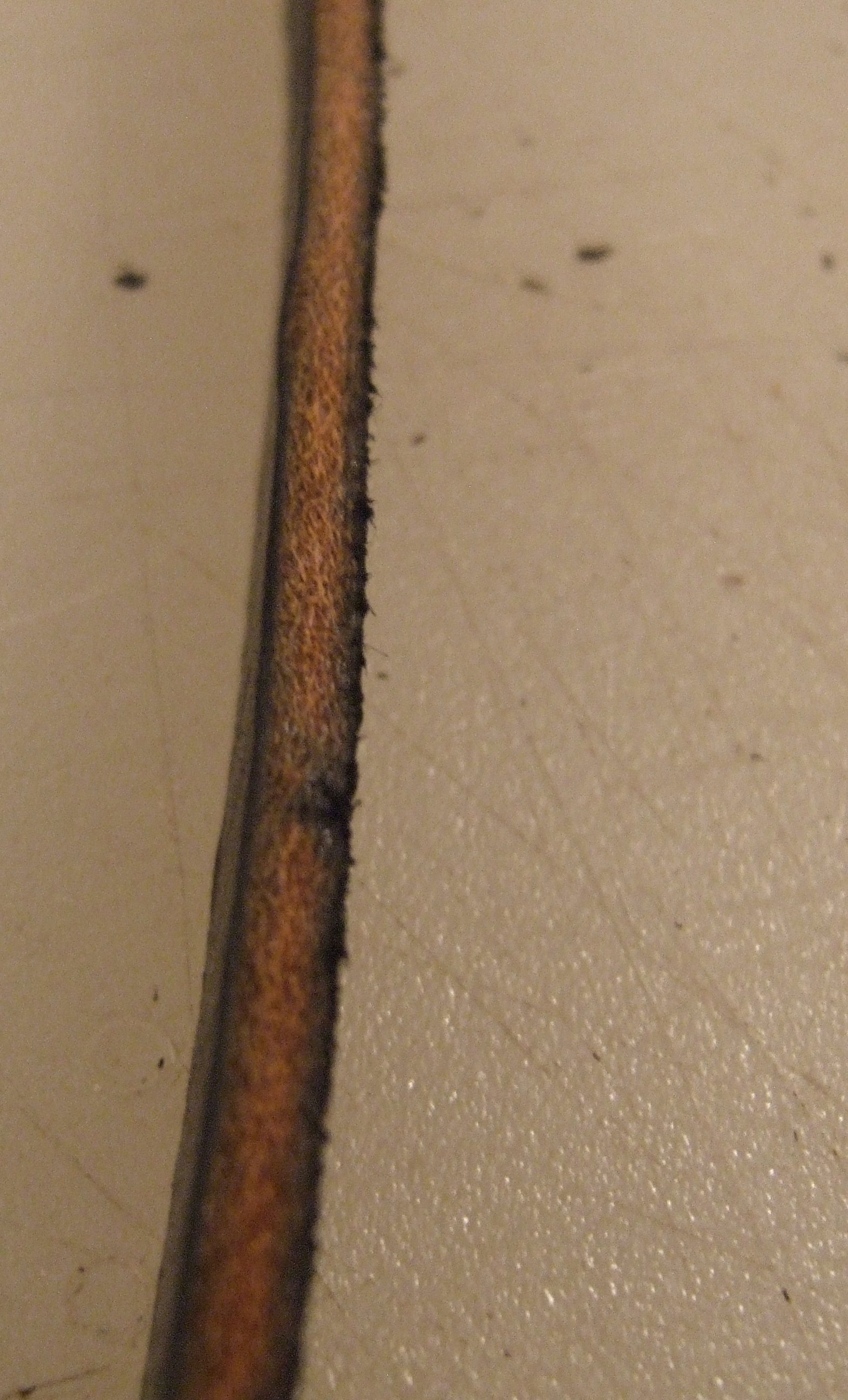 DSCF4364.JPG