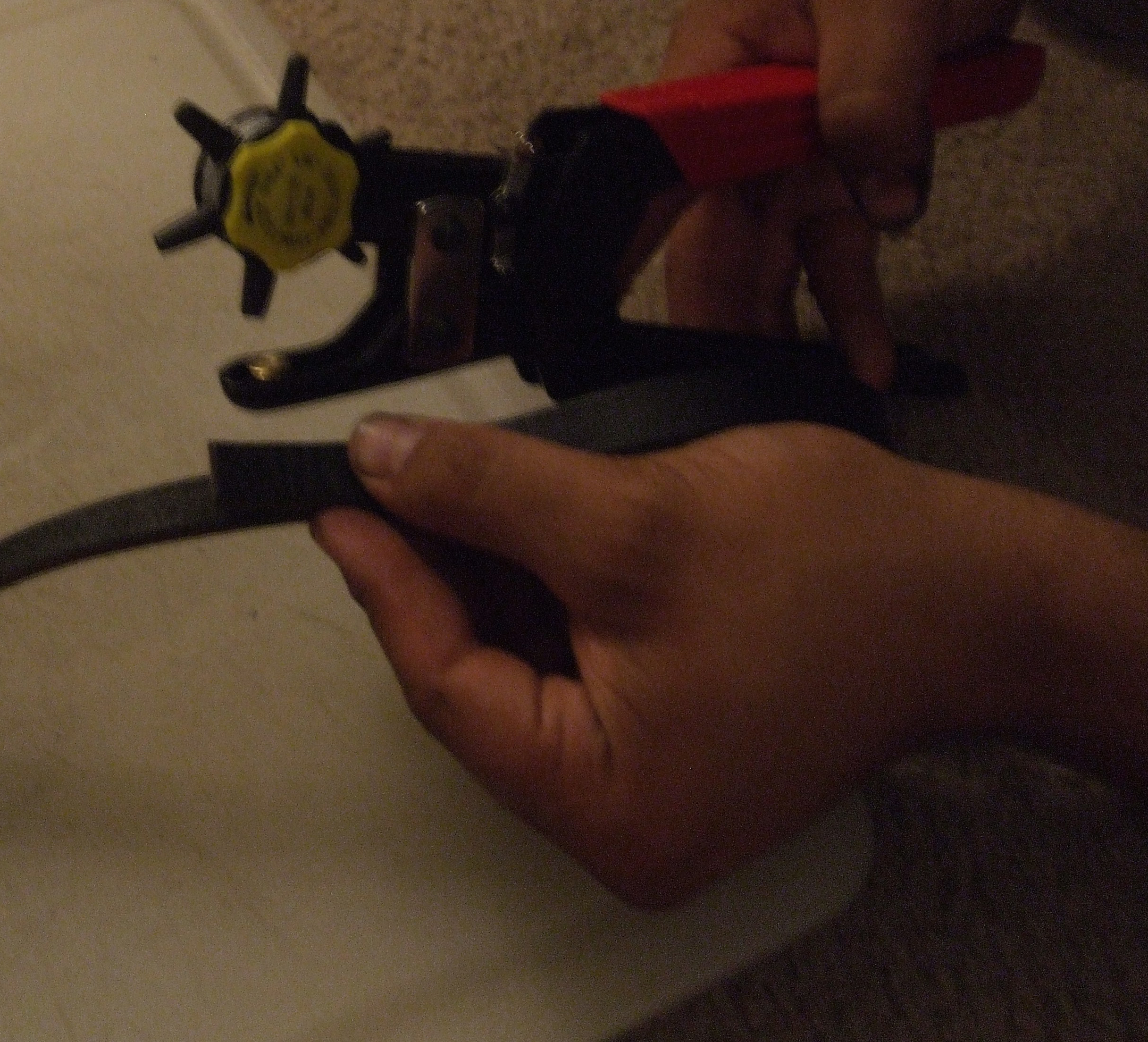 DSCF4380.JPG
