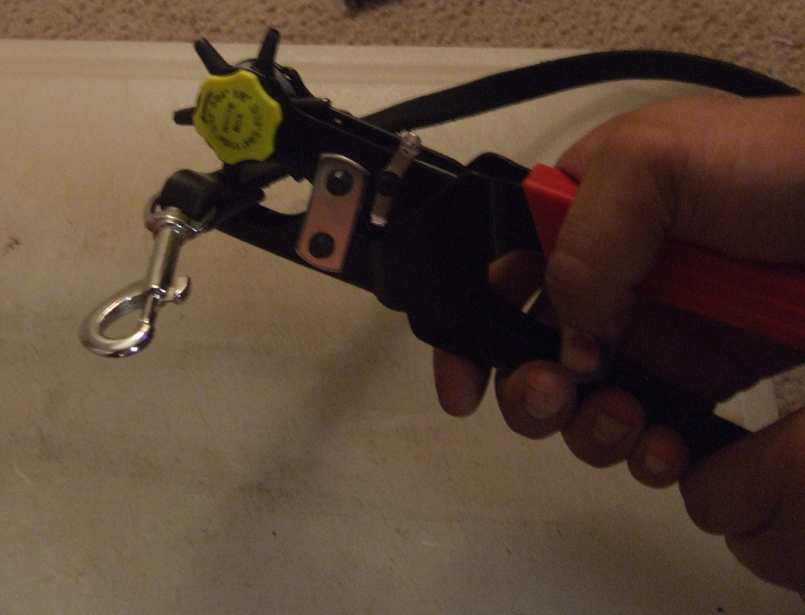 DSCF4386.JPG