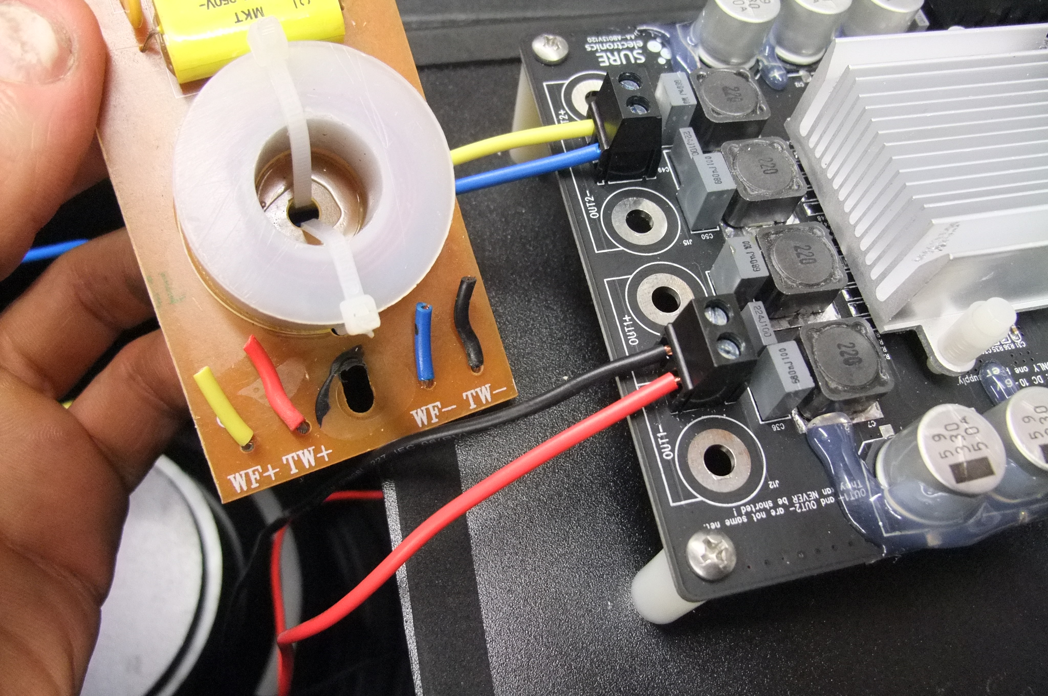 DSCF5576.JPG