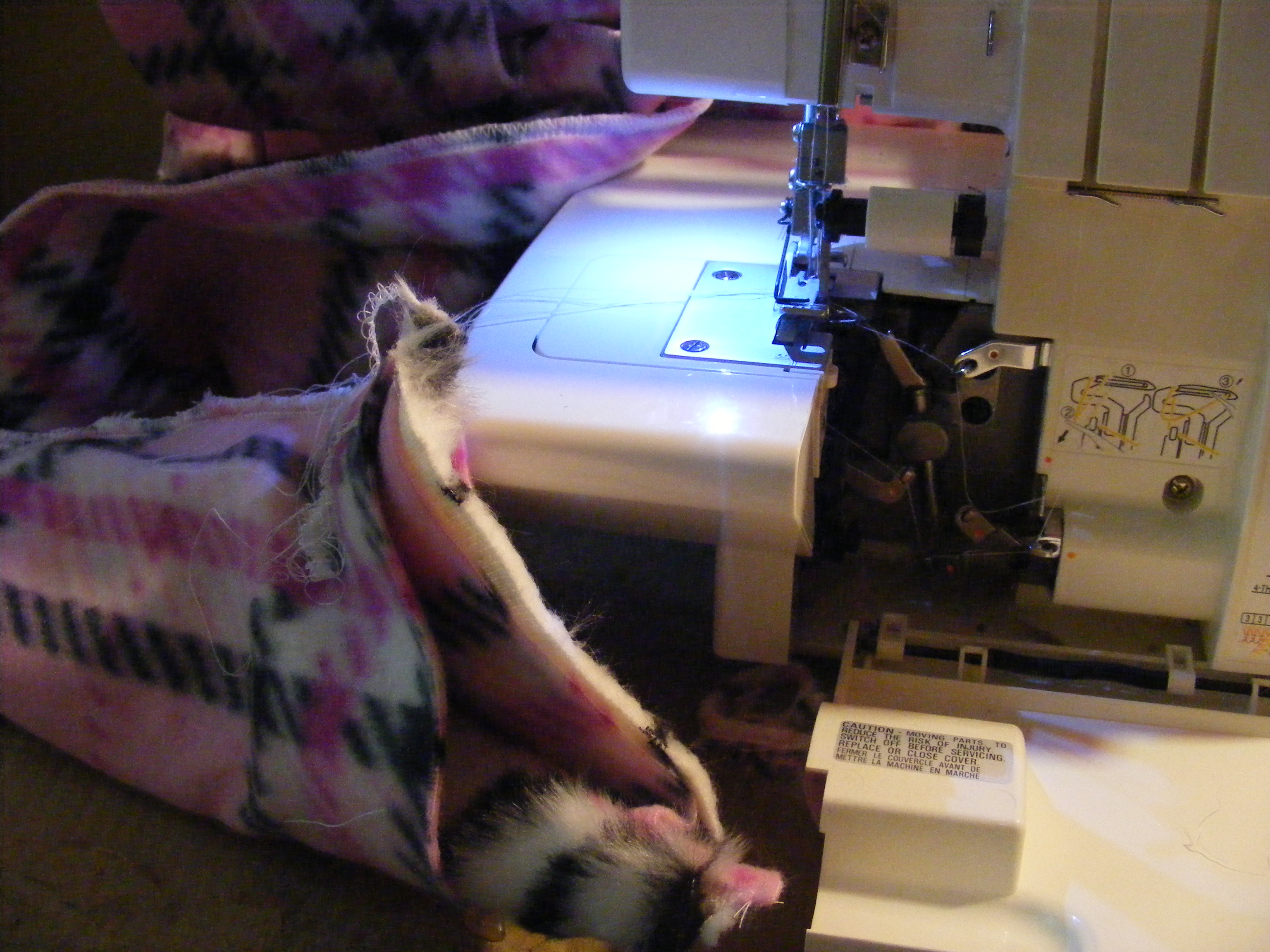 DSCF6299.JPG