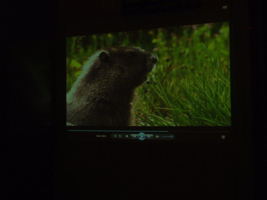 DSCF6348.jpg