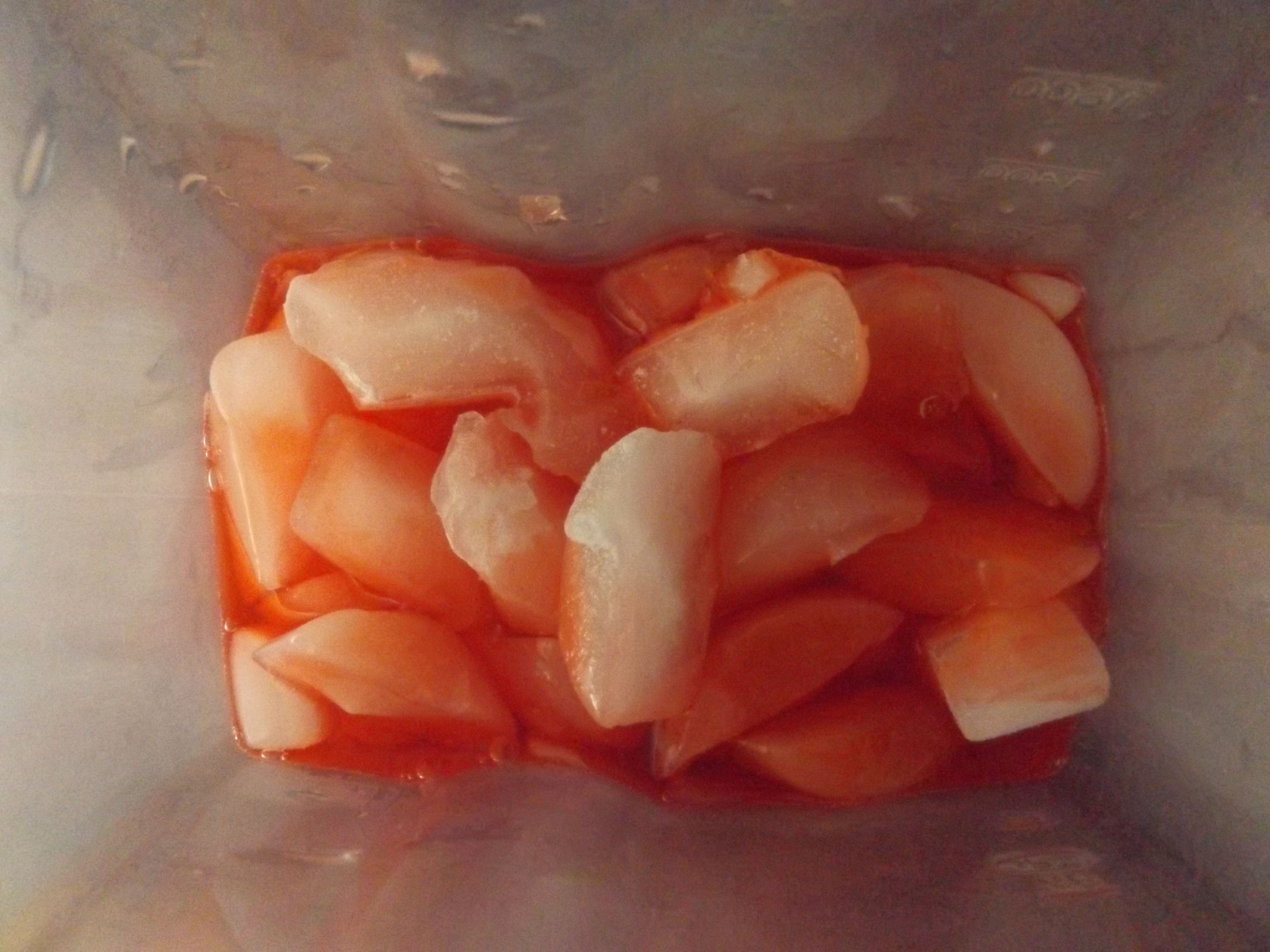 DSCF7205.JPG
