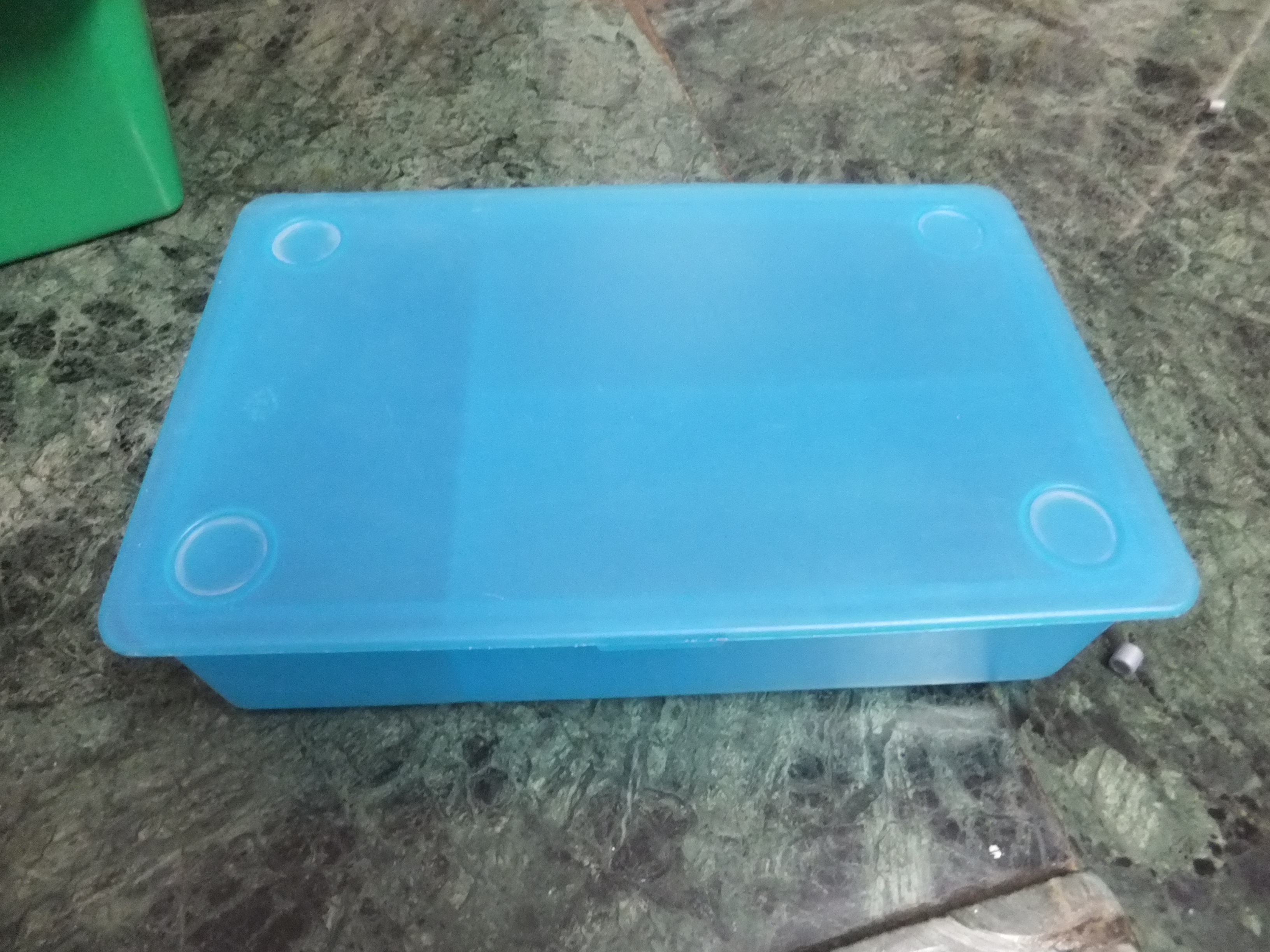 DSCF9274.JPG