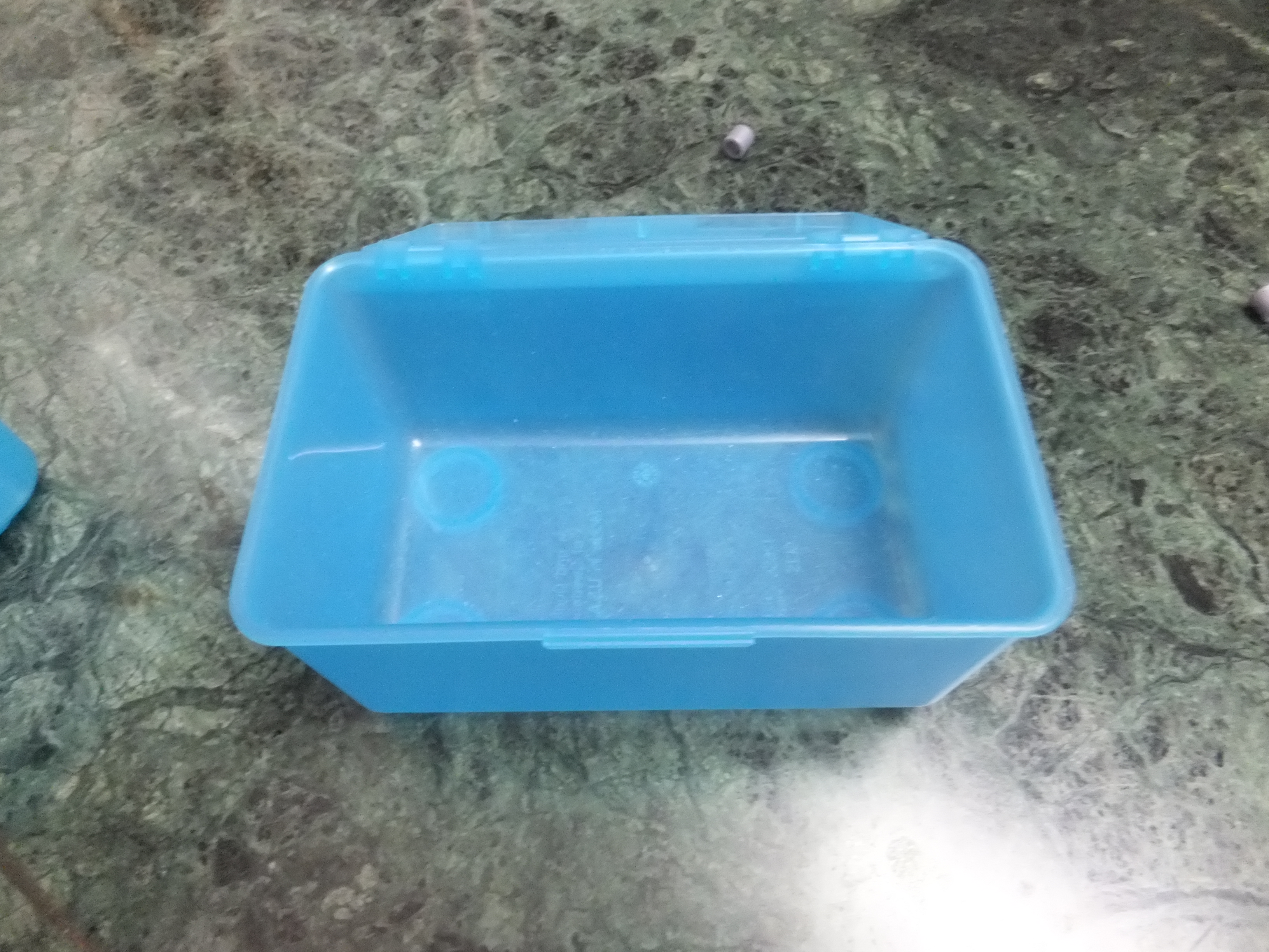 DSCF9284.JPG