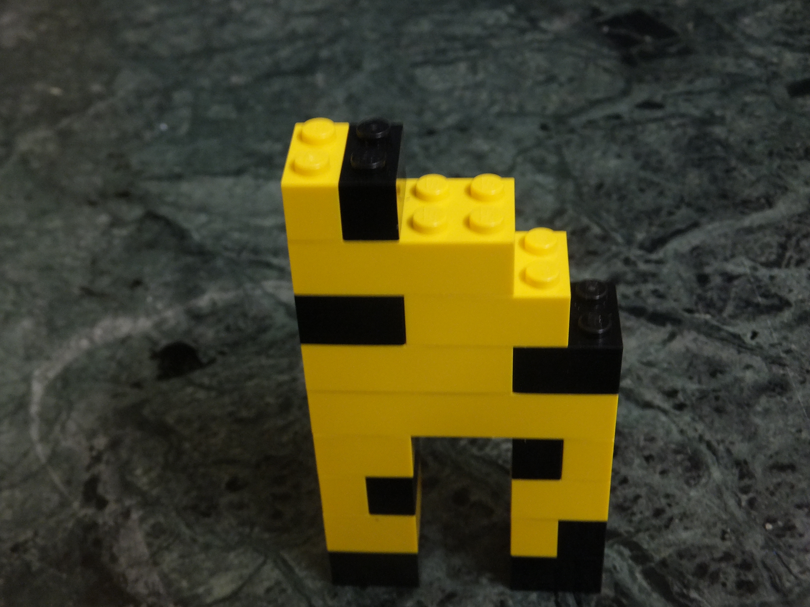 DSCF9837.JPG