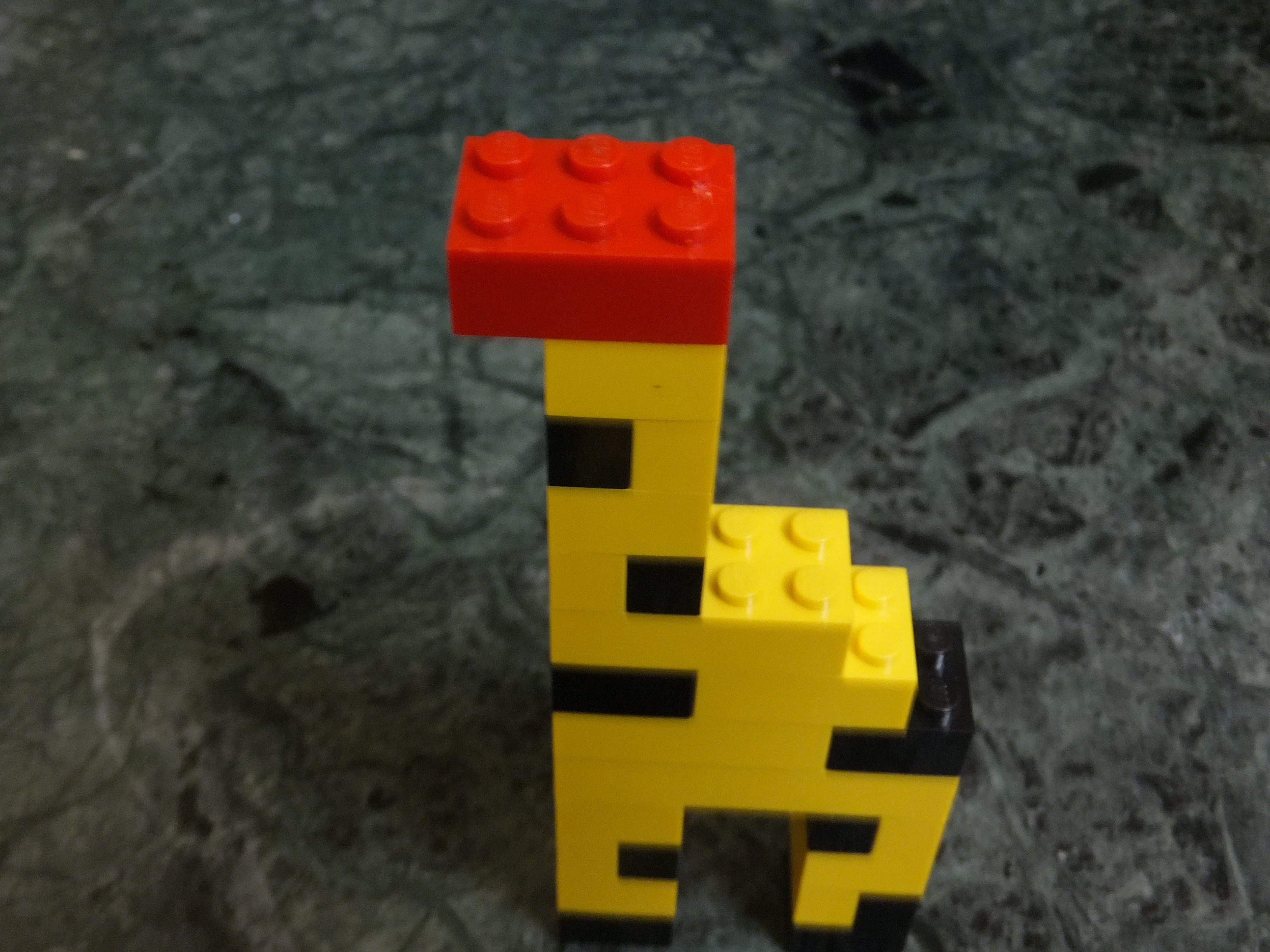 DSCF9843.JPG