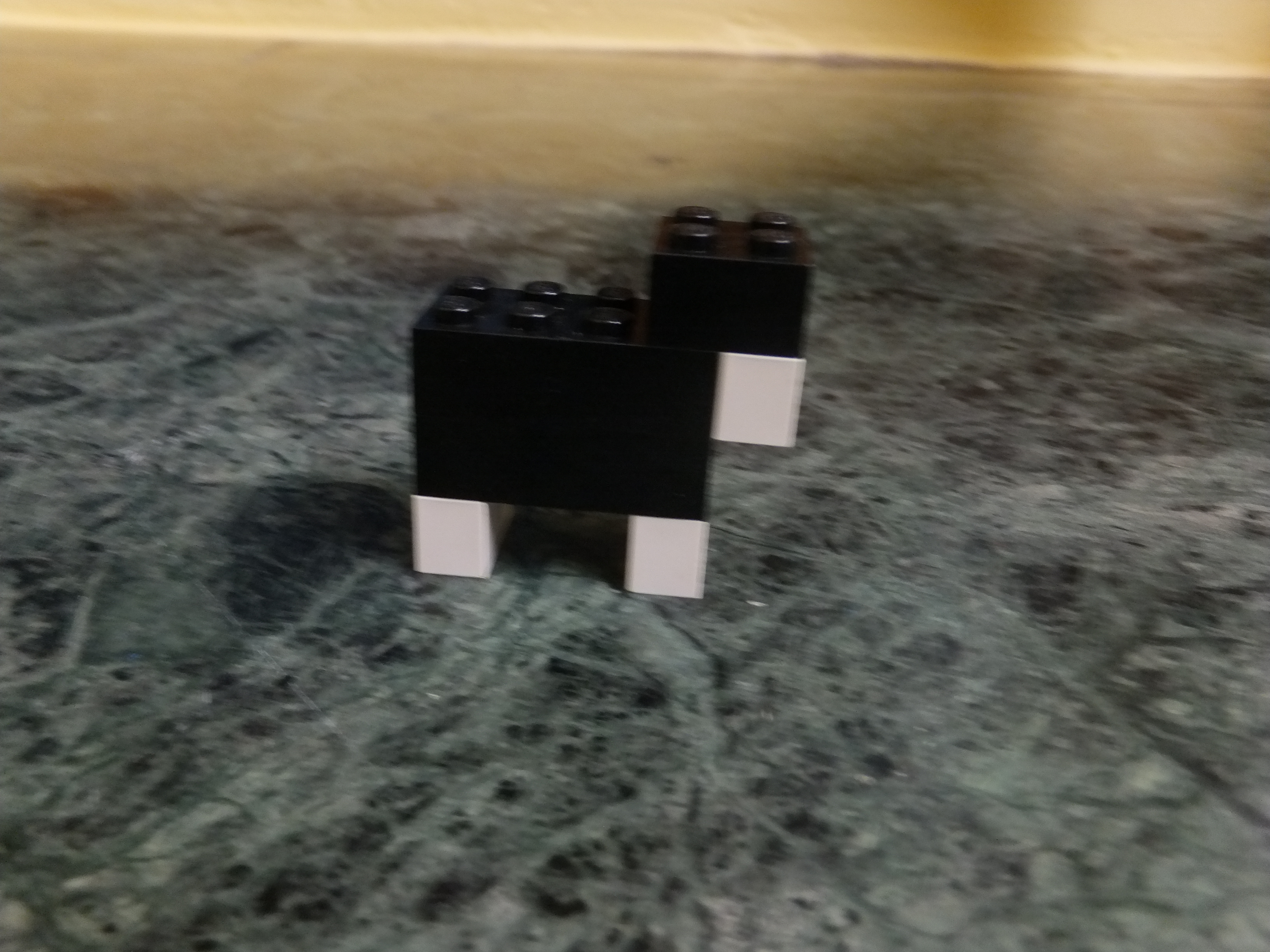 DSCF9881.JPG