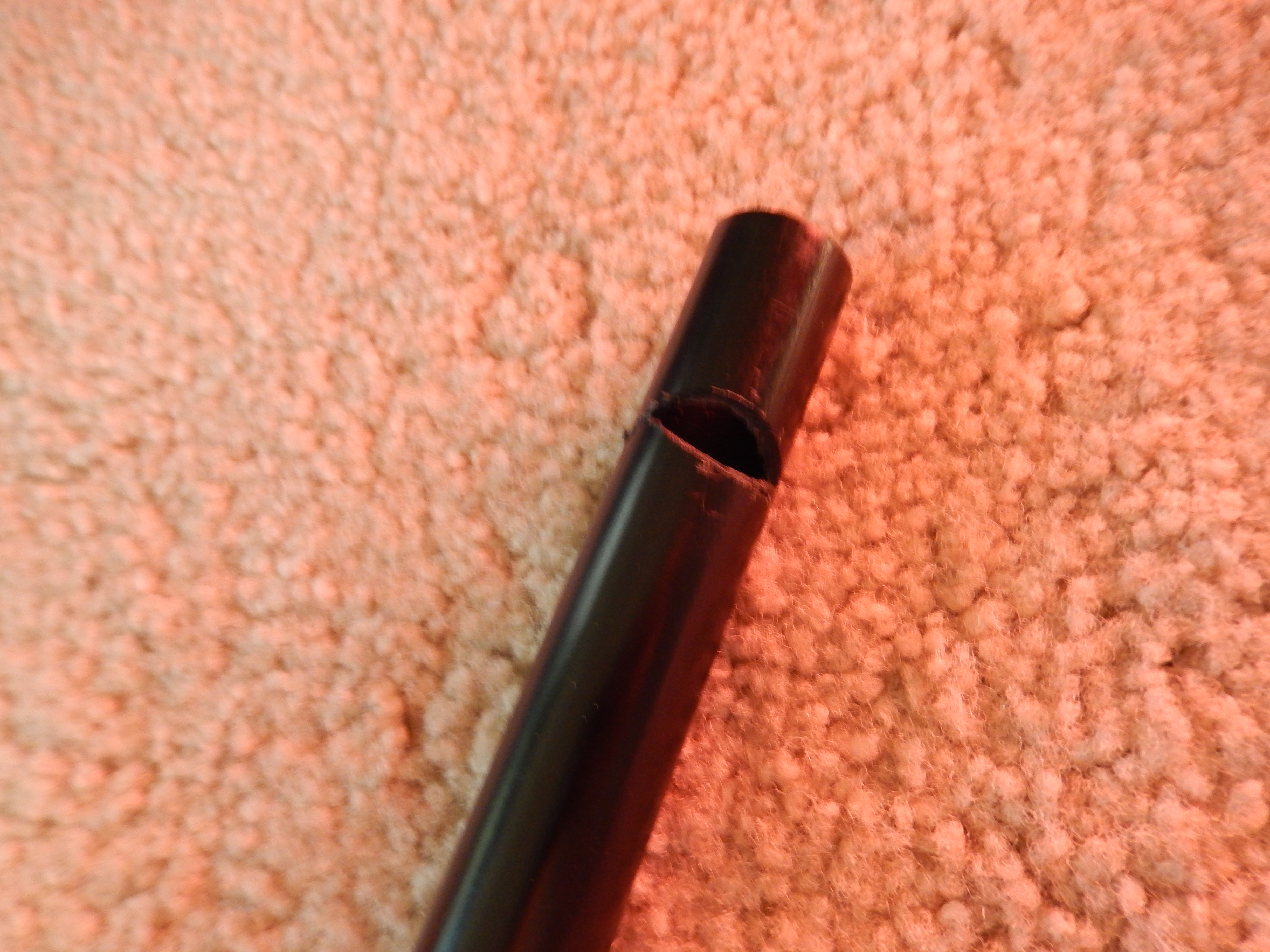 DSCN0013.JPG