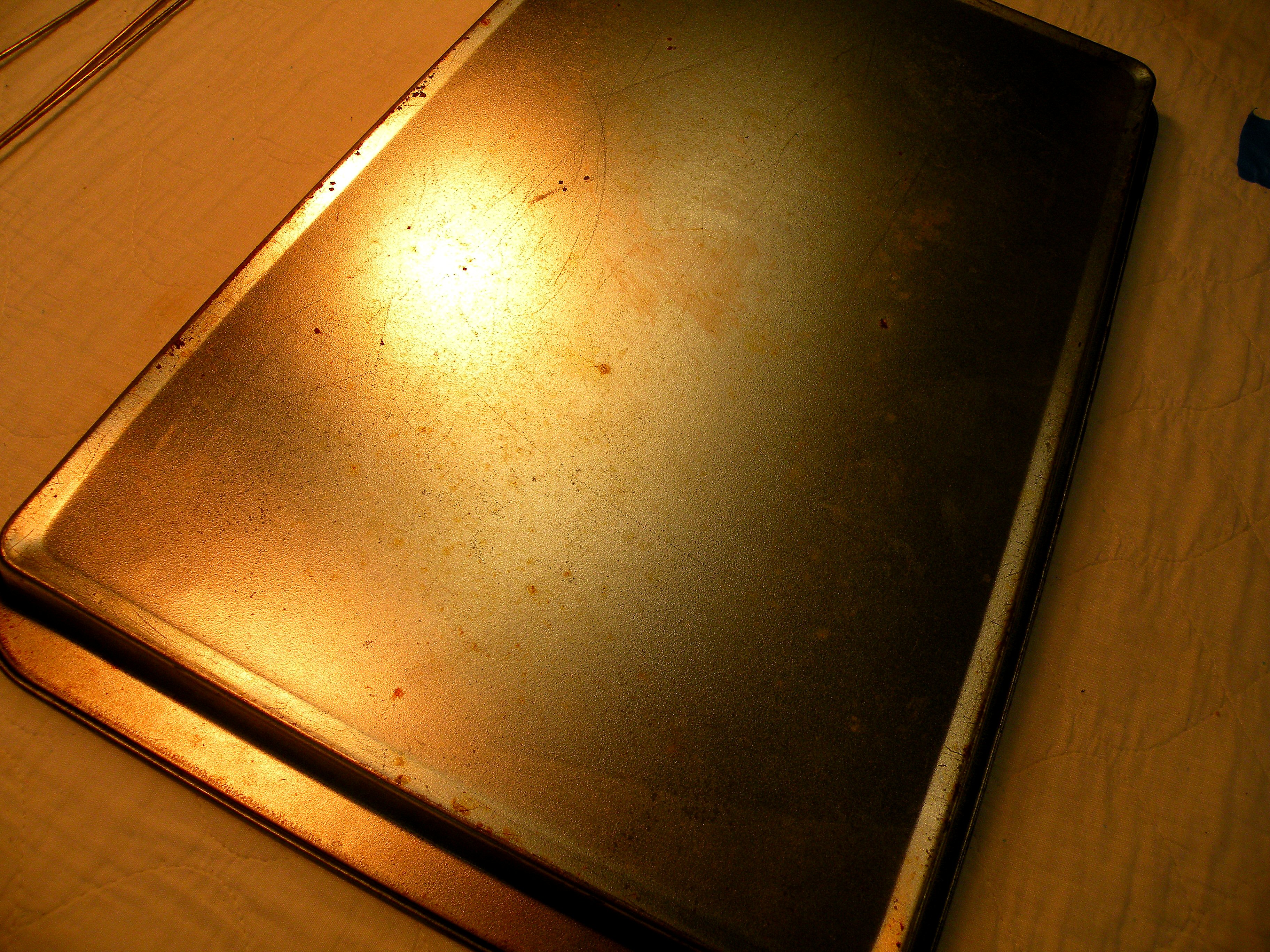 DSCN0131.jpg