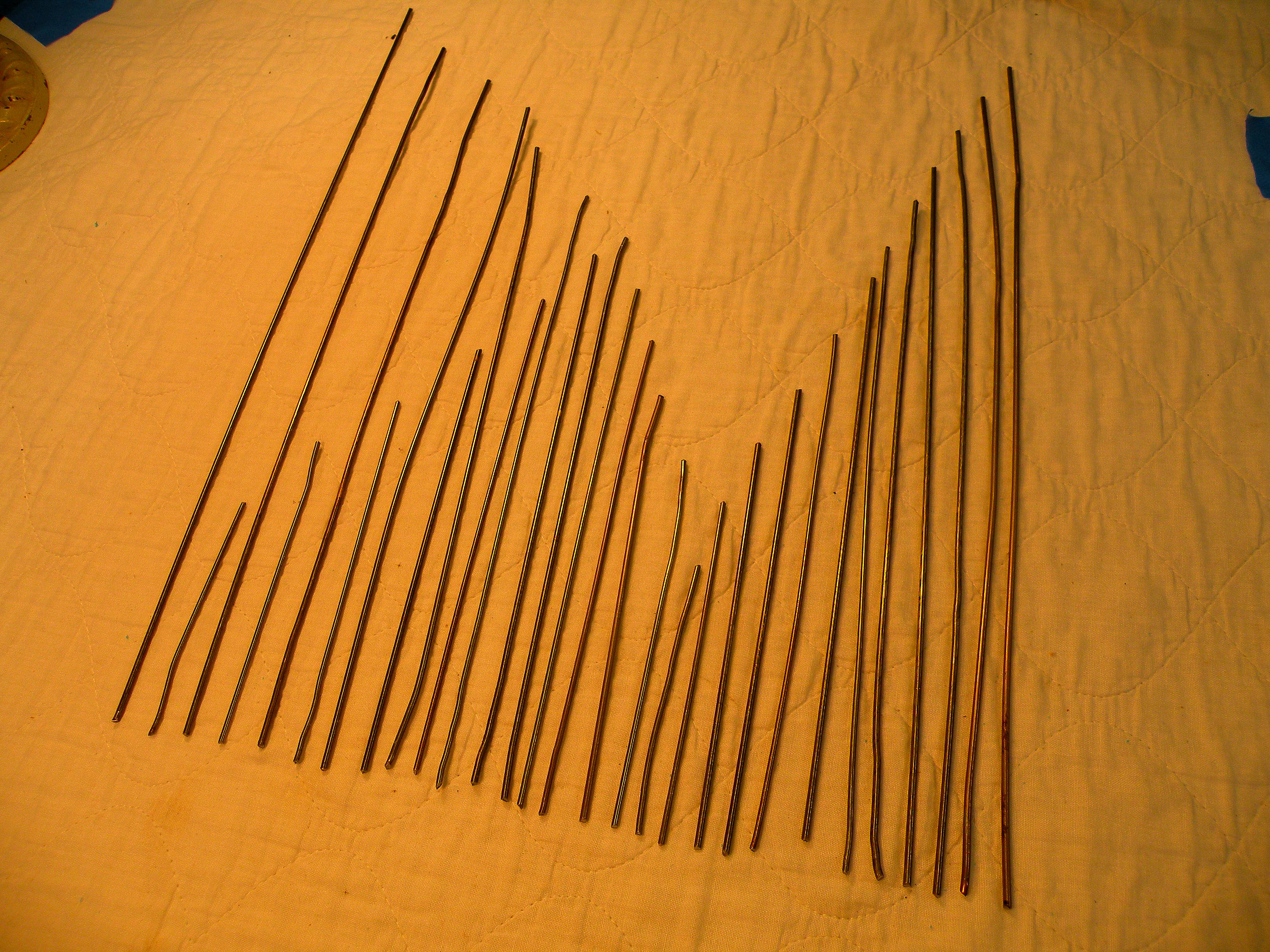 DSCN0146.jpg