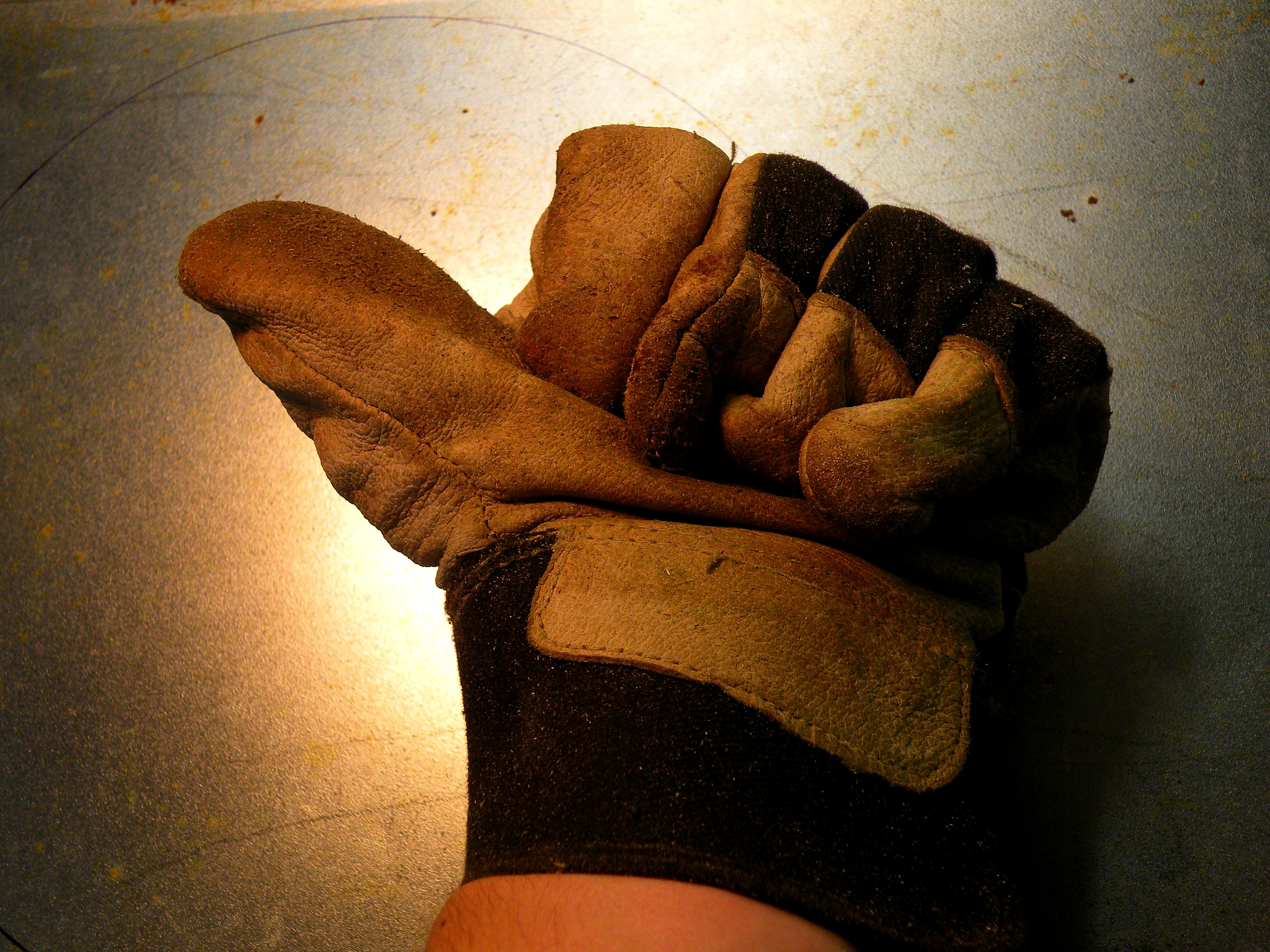 DSCN0149.jpg