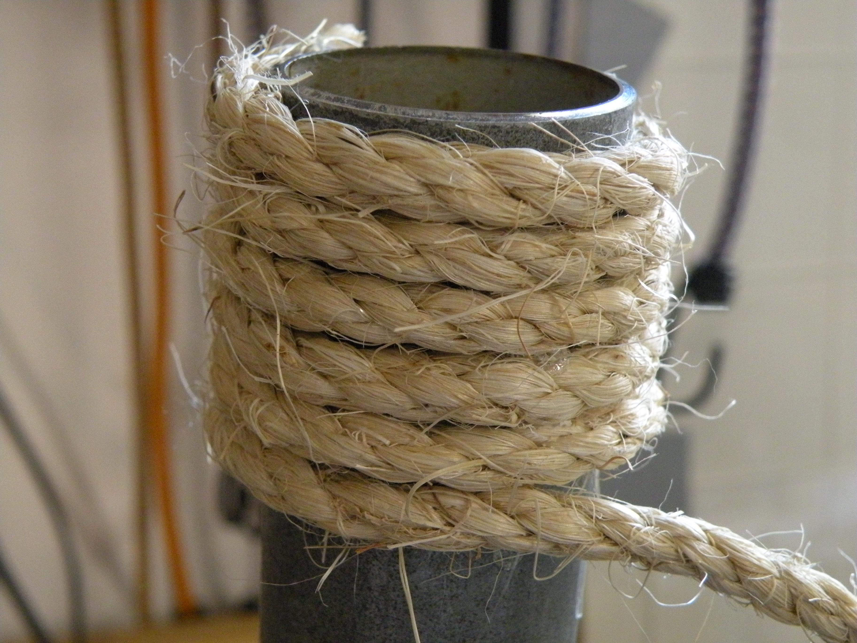DSCN0260.JPG