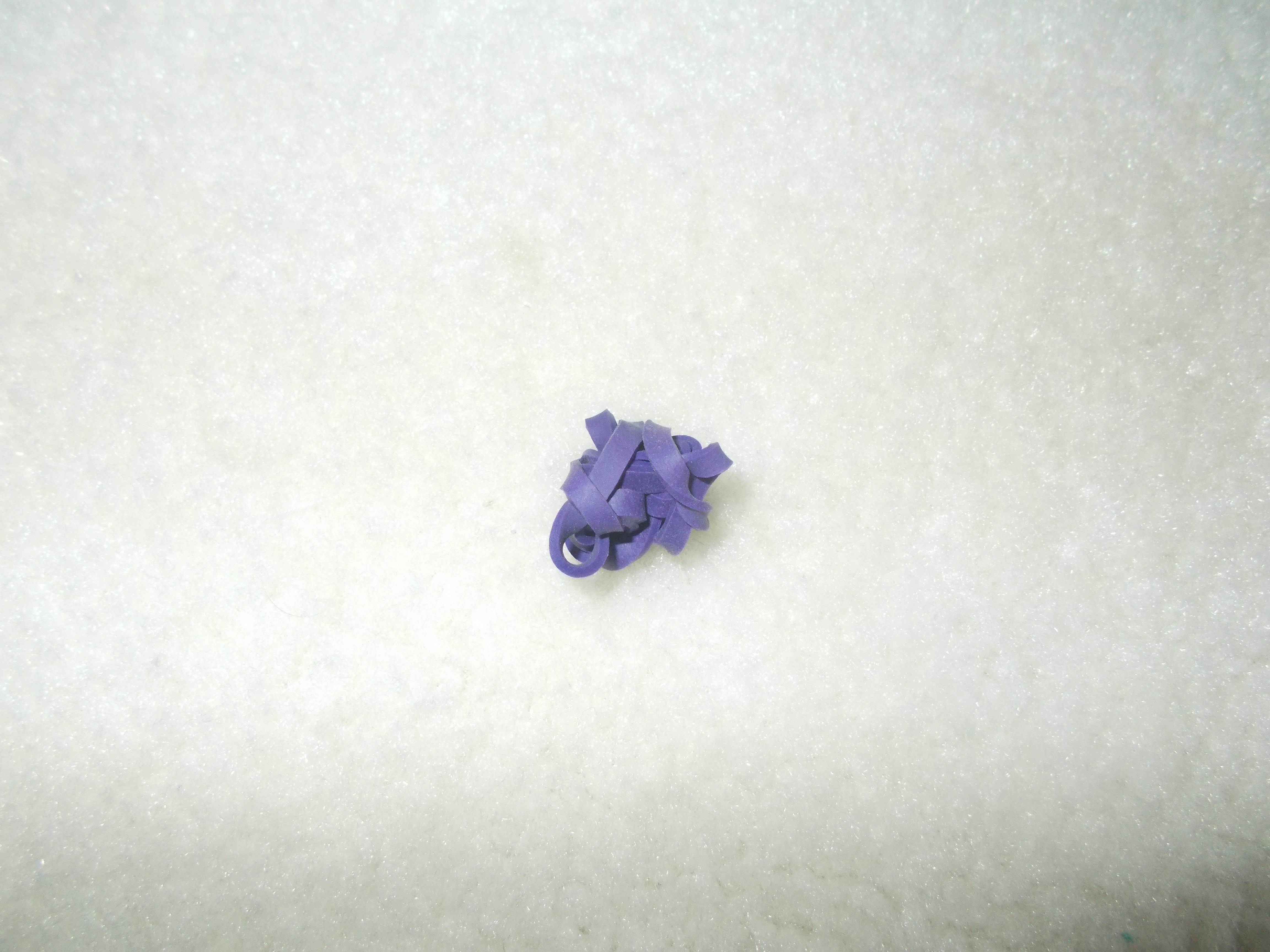DSCN0377.JPG