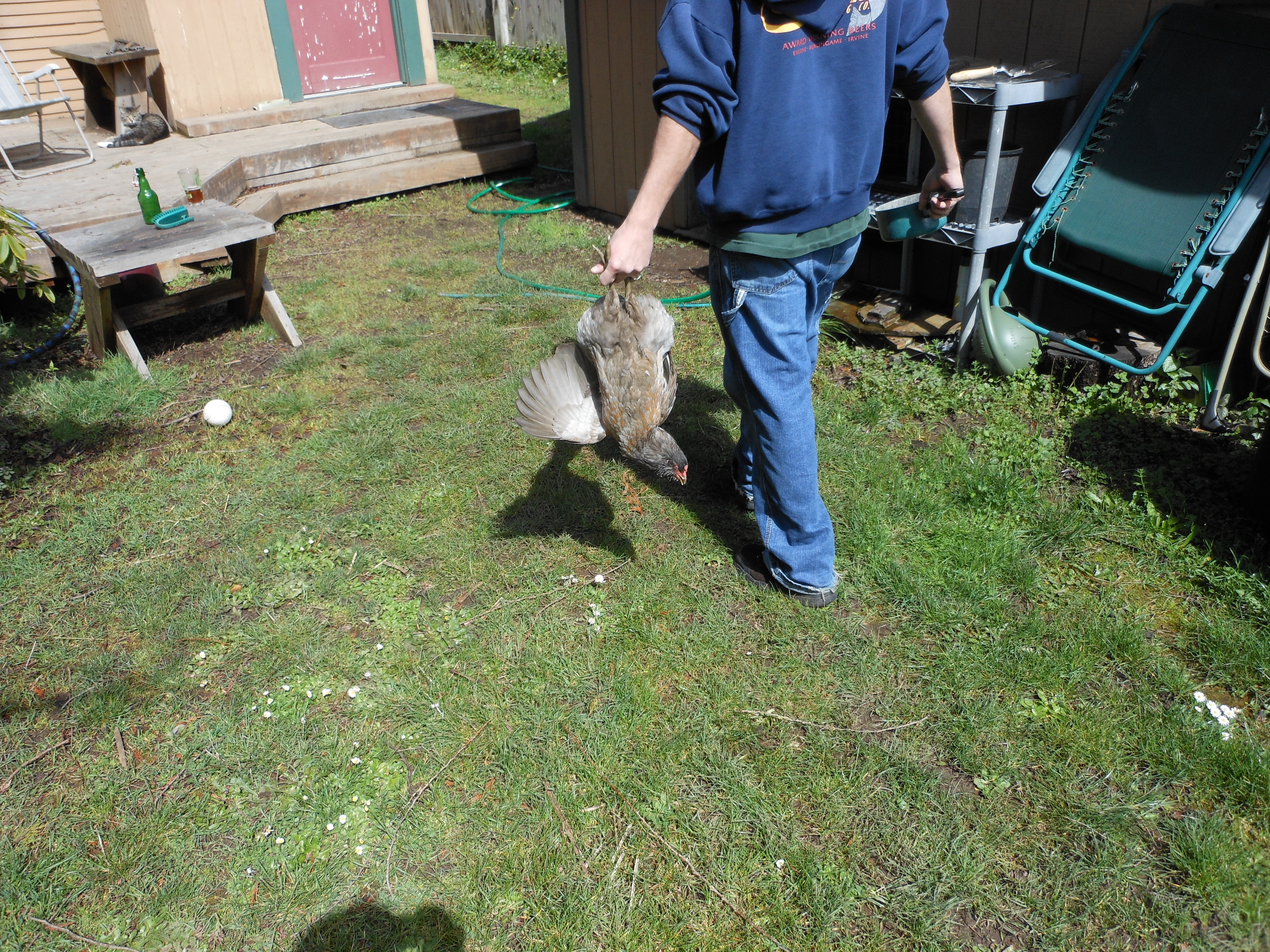 DSCN0406.JPG