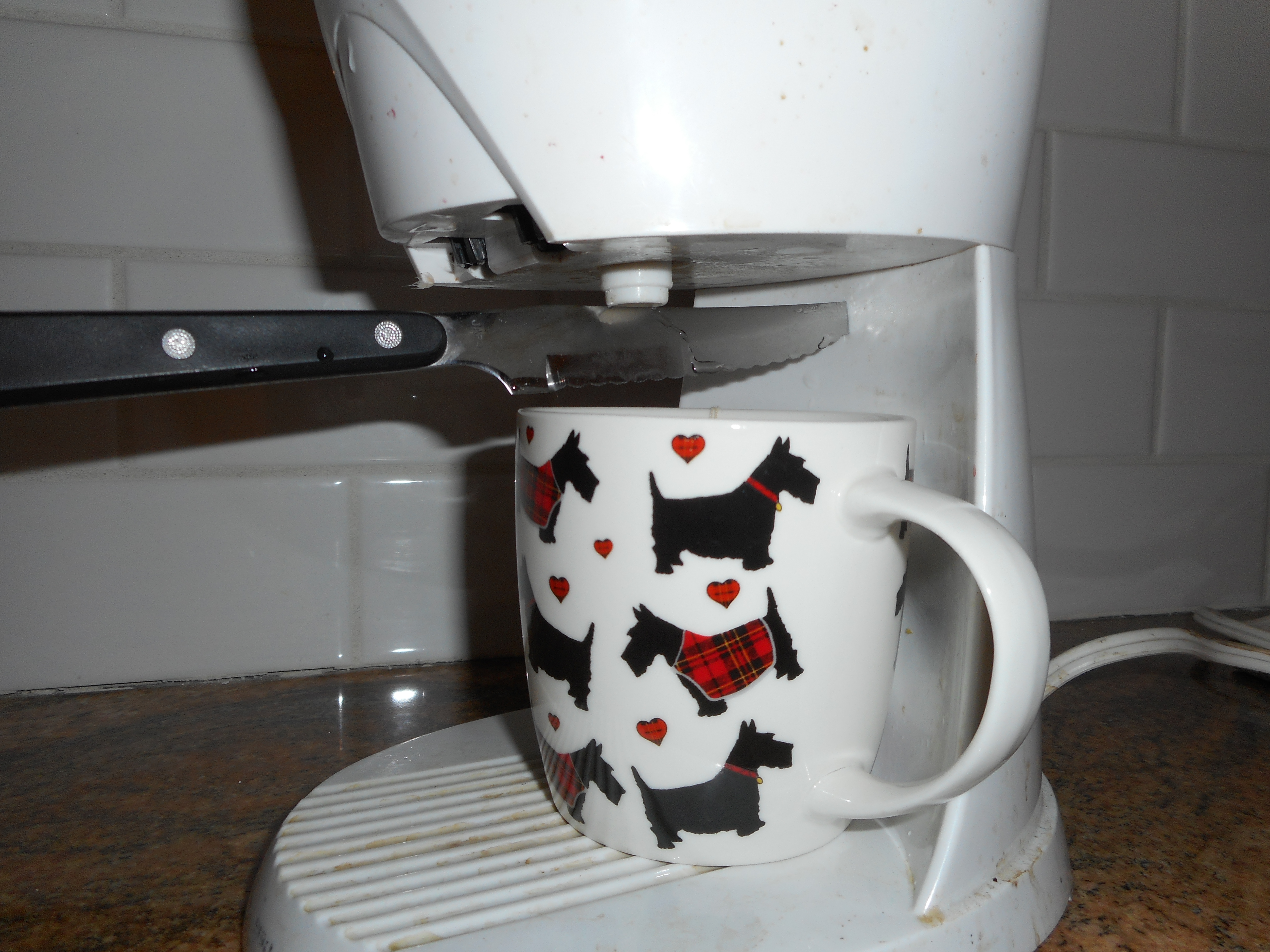 DSCN0447.JPG