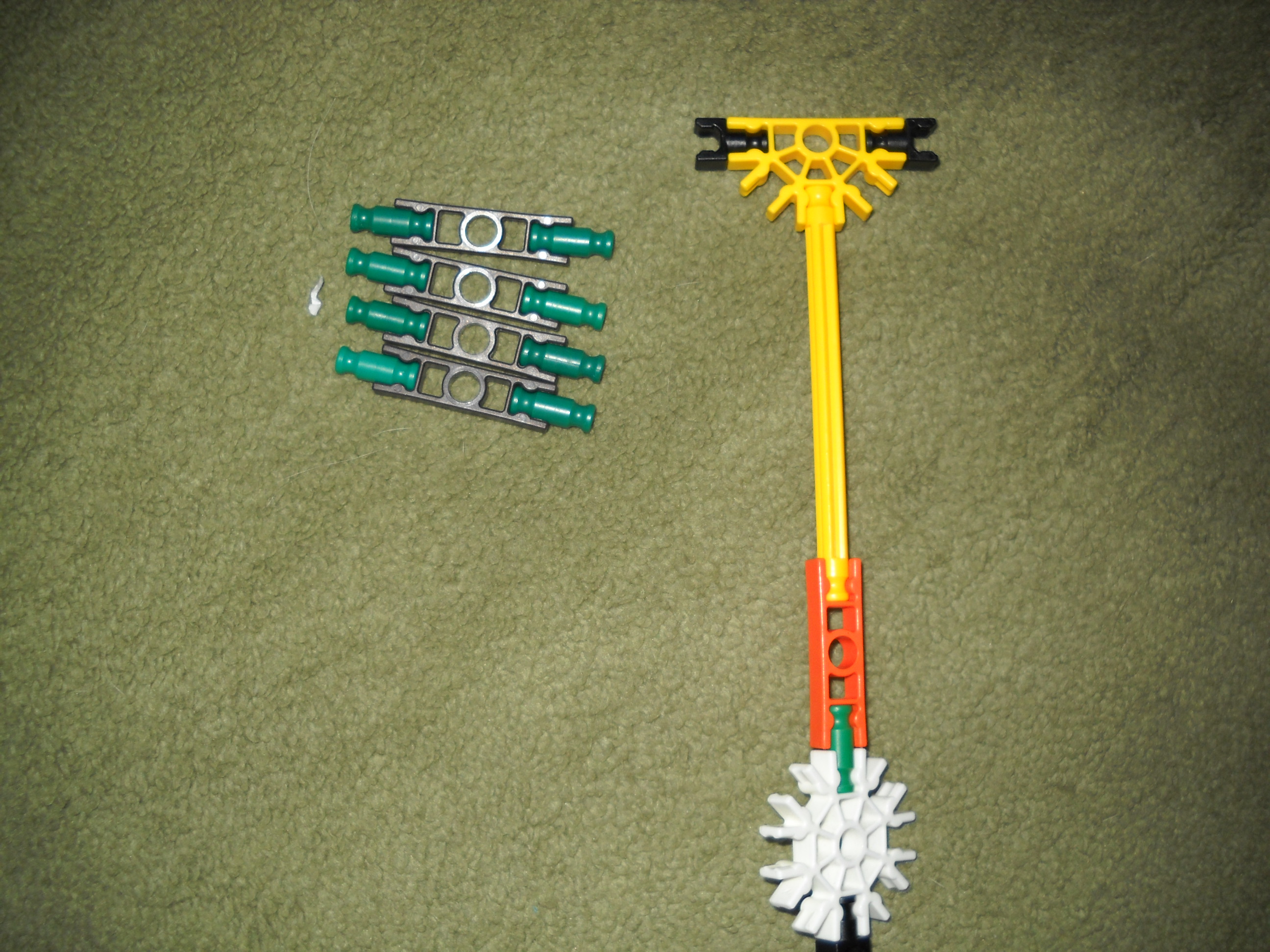 DSCN0572.JPG