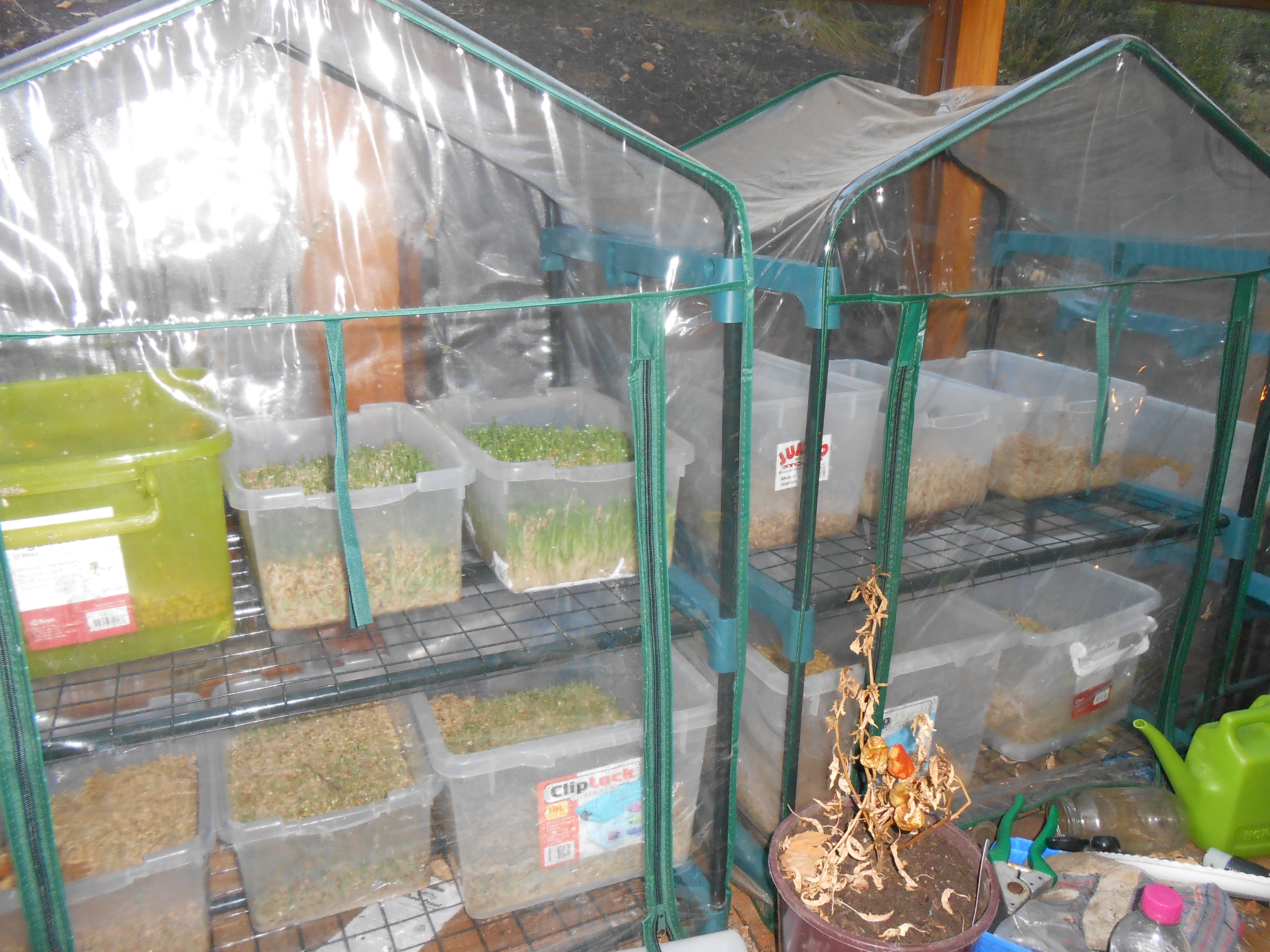 DSCN0656.JPG