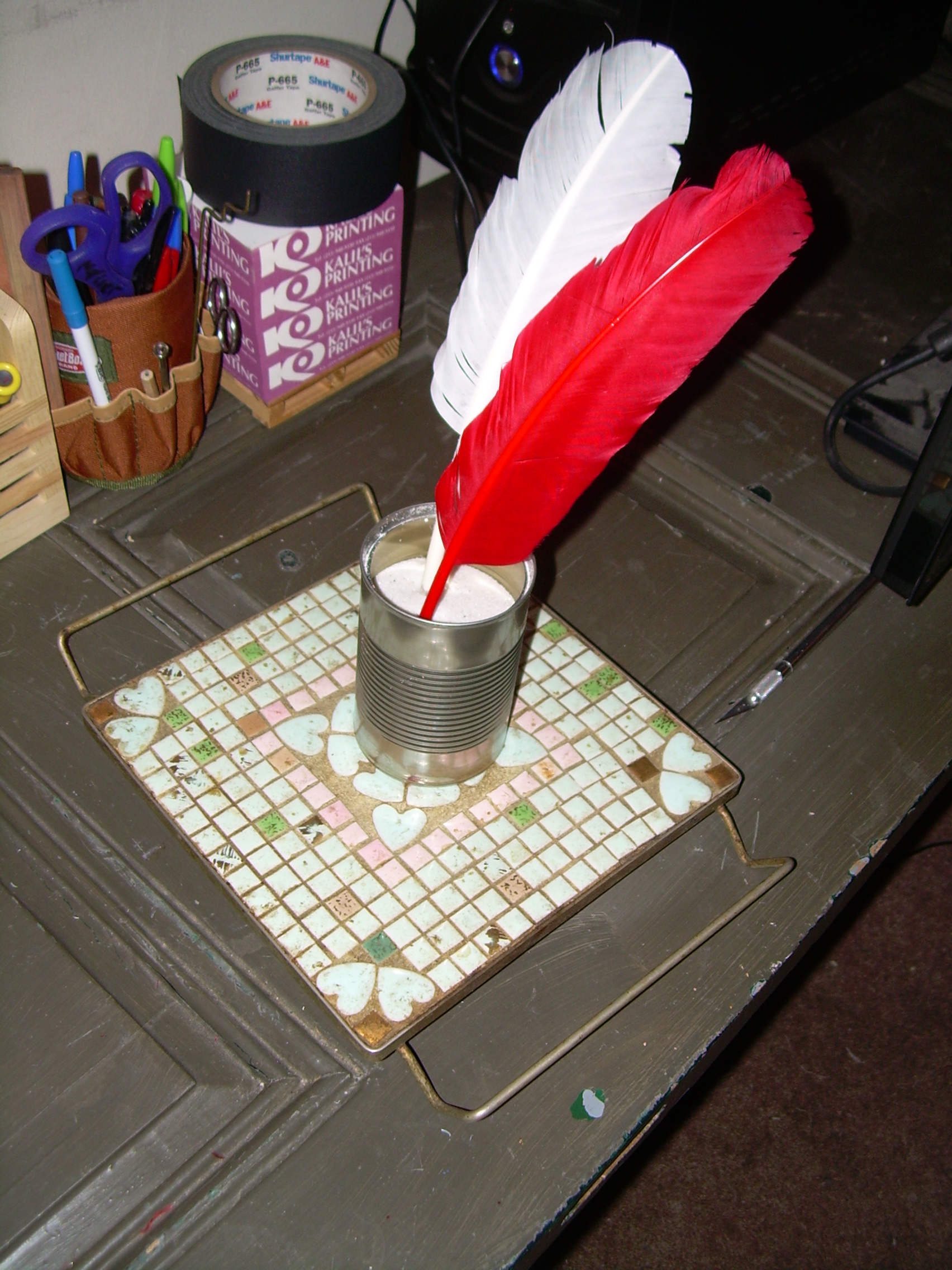 DSCN0735.JPG