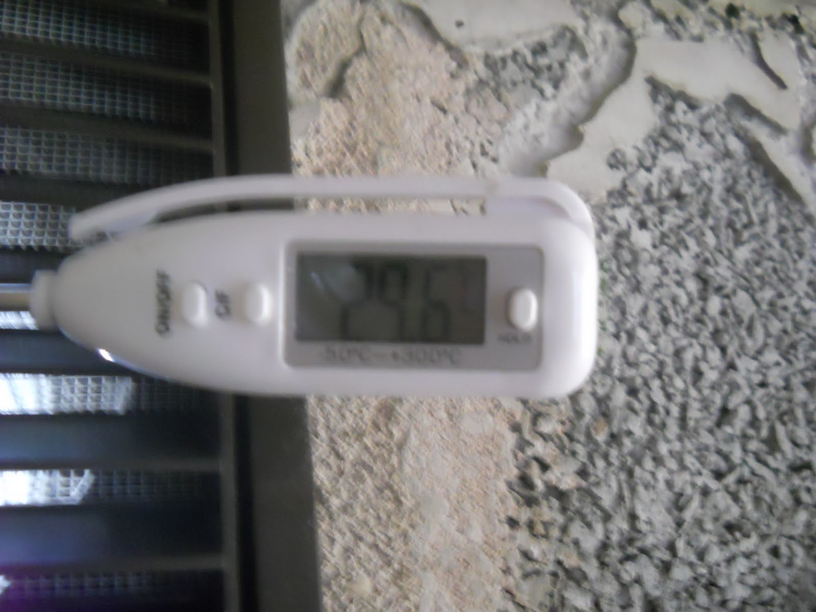DSCN1153.JPG