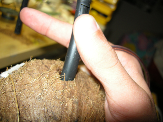 DSCN1362.jpg