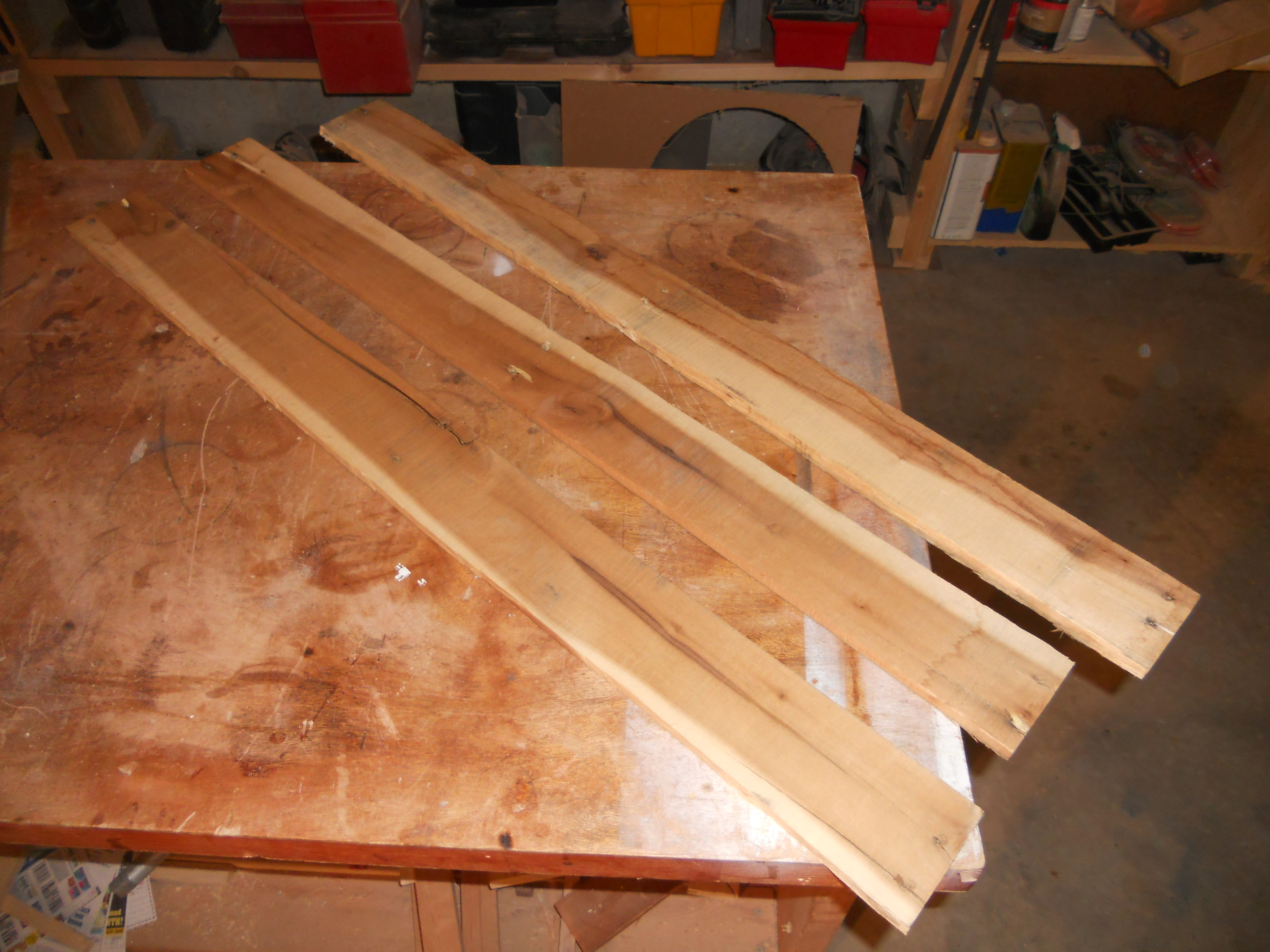 DSCN1366.JPG