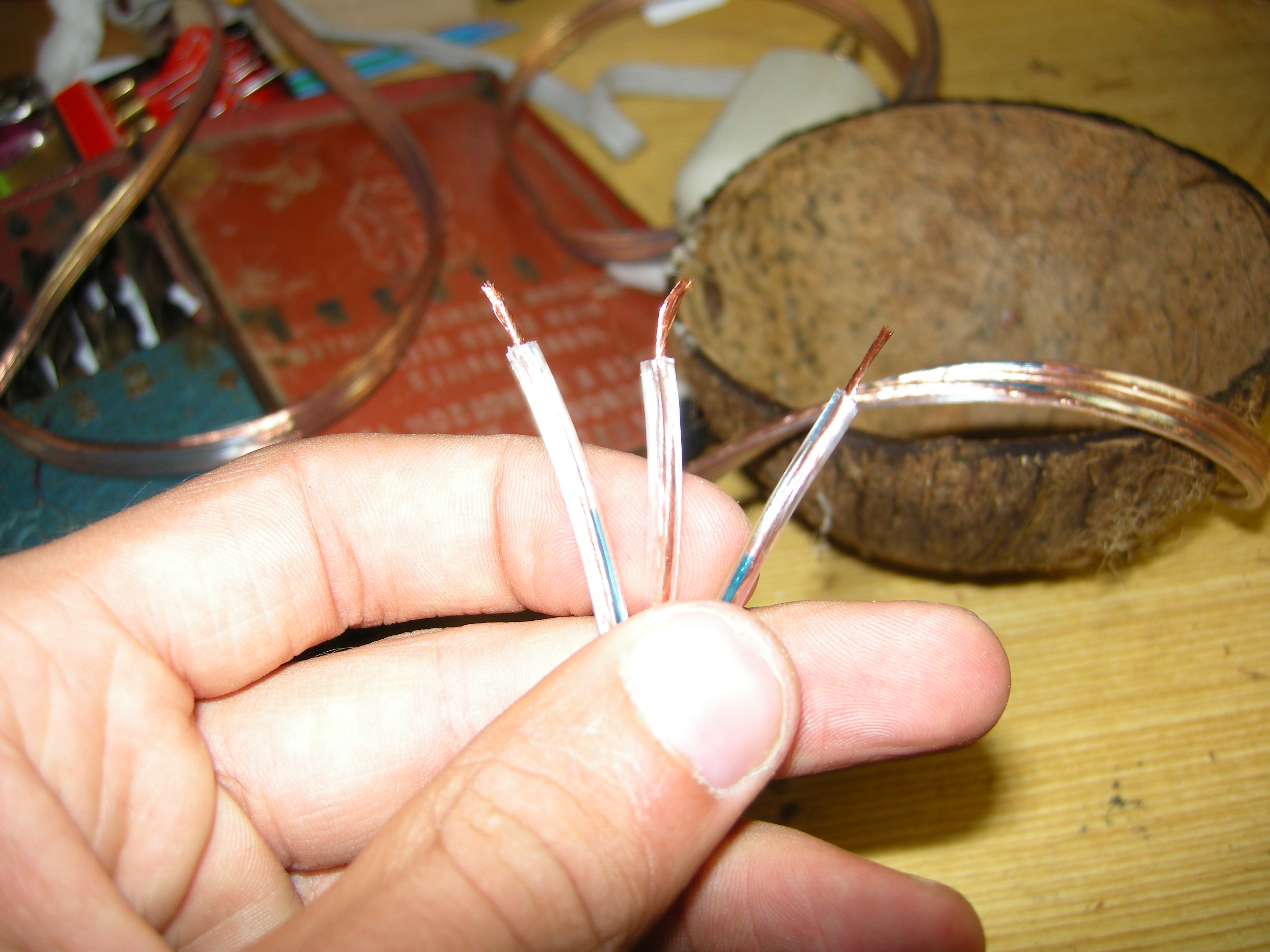 DSCN1368.JPG