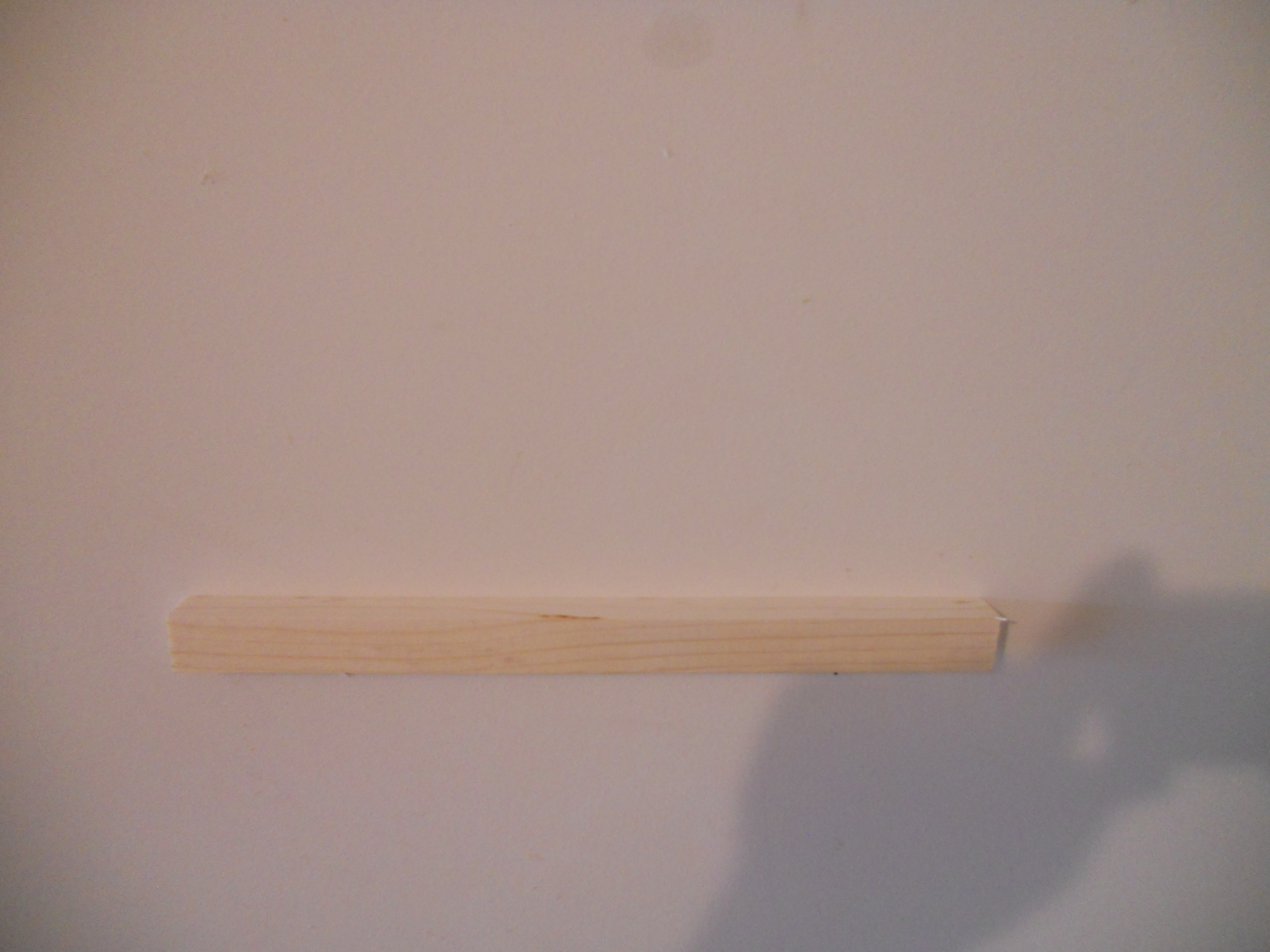 DSCN1528.JPG