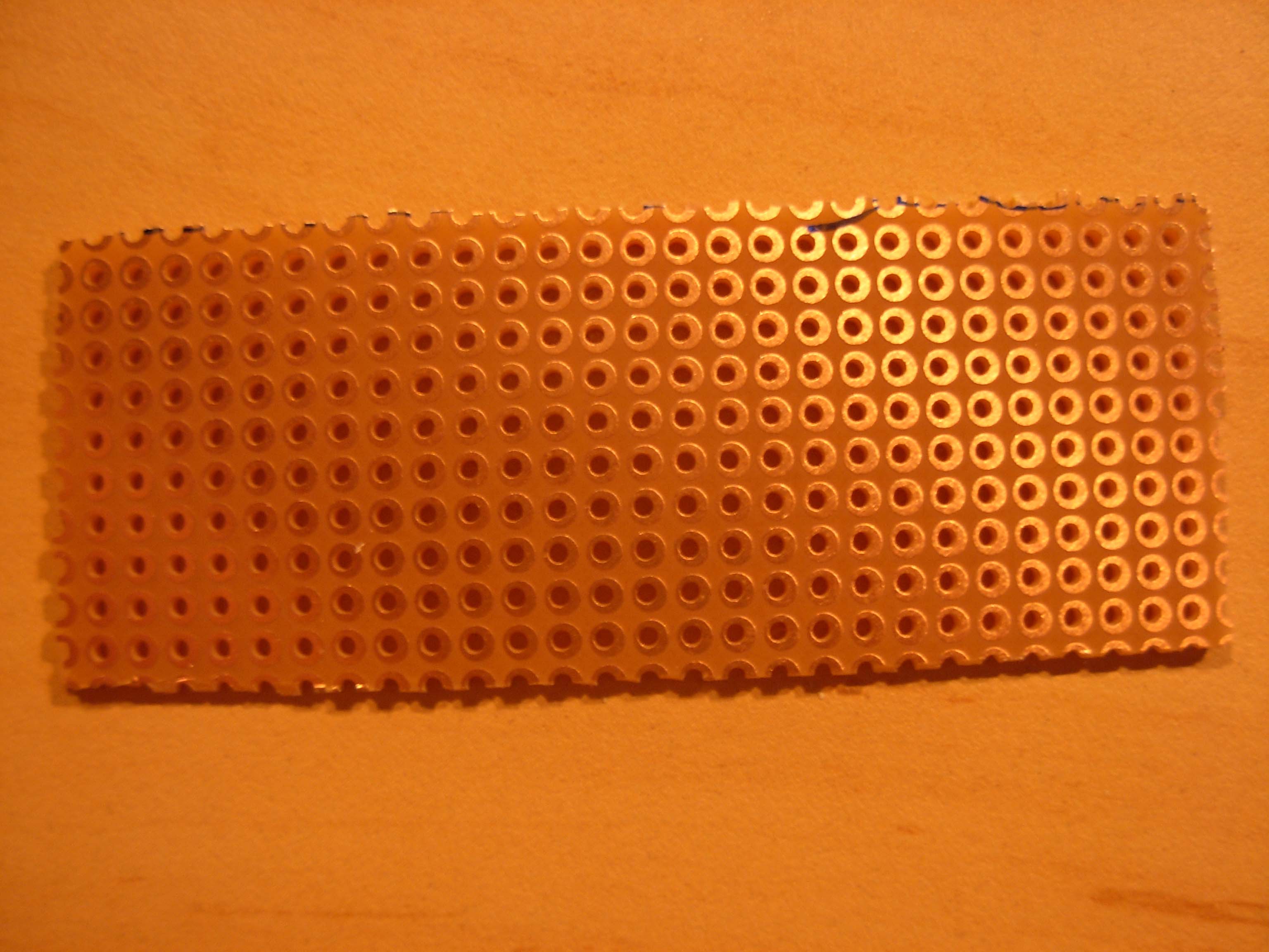DSCN1531.JPG