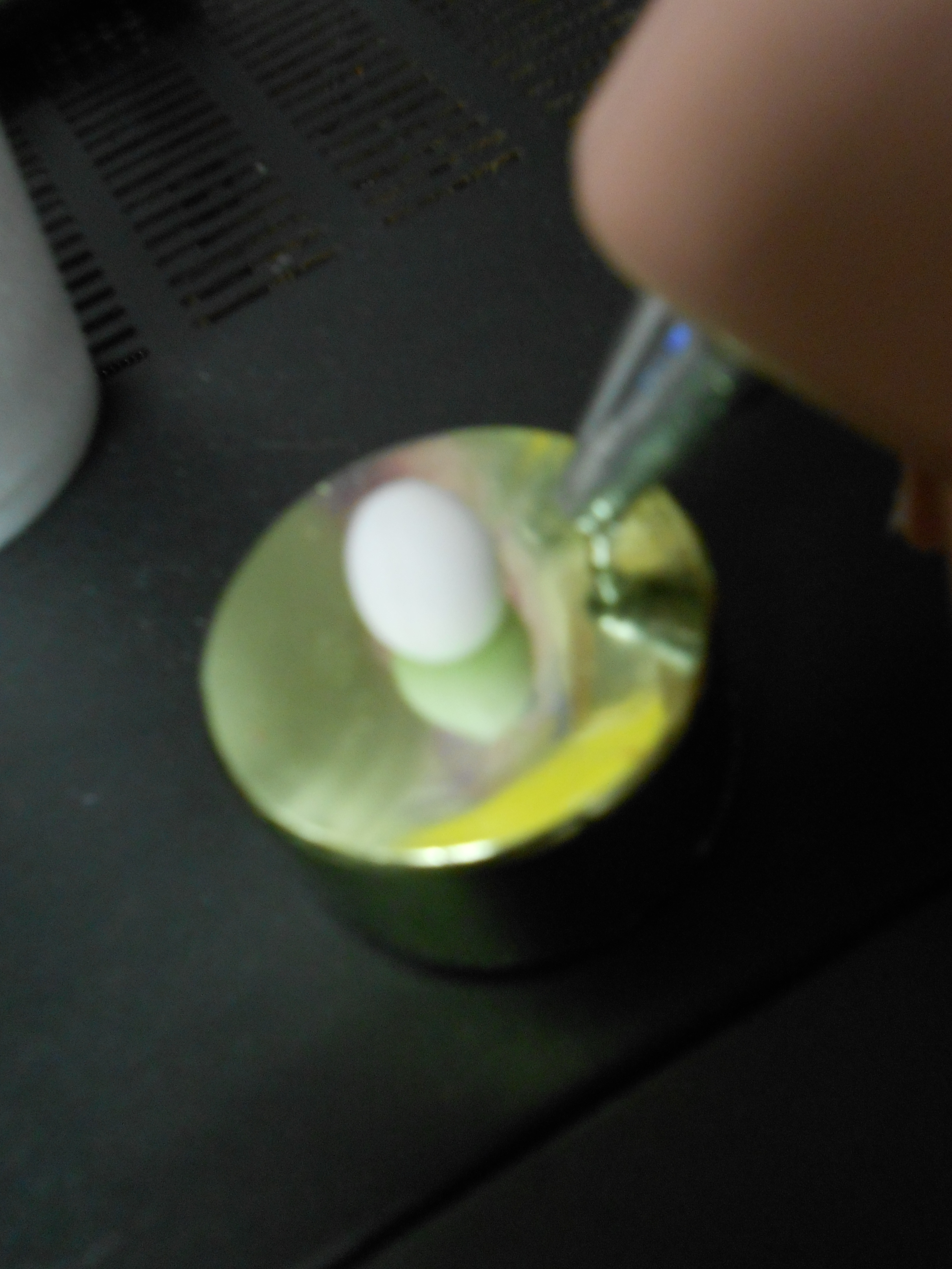 DSCN1538.JPG