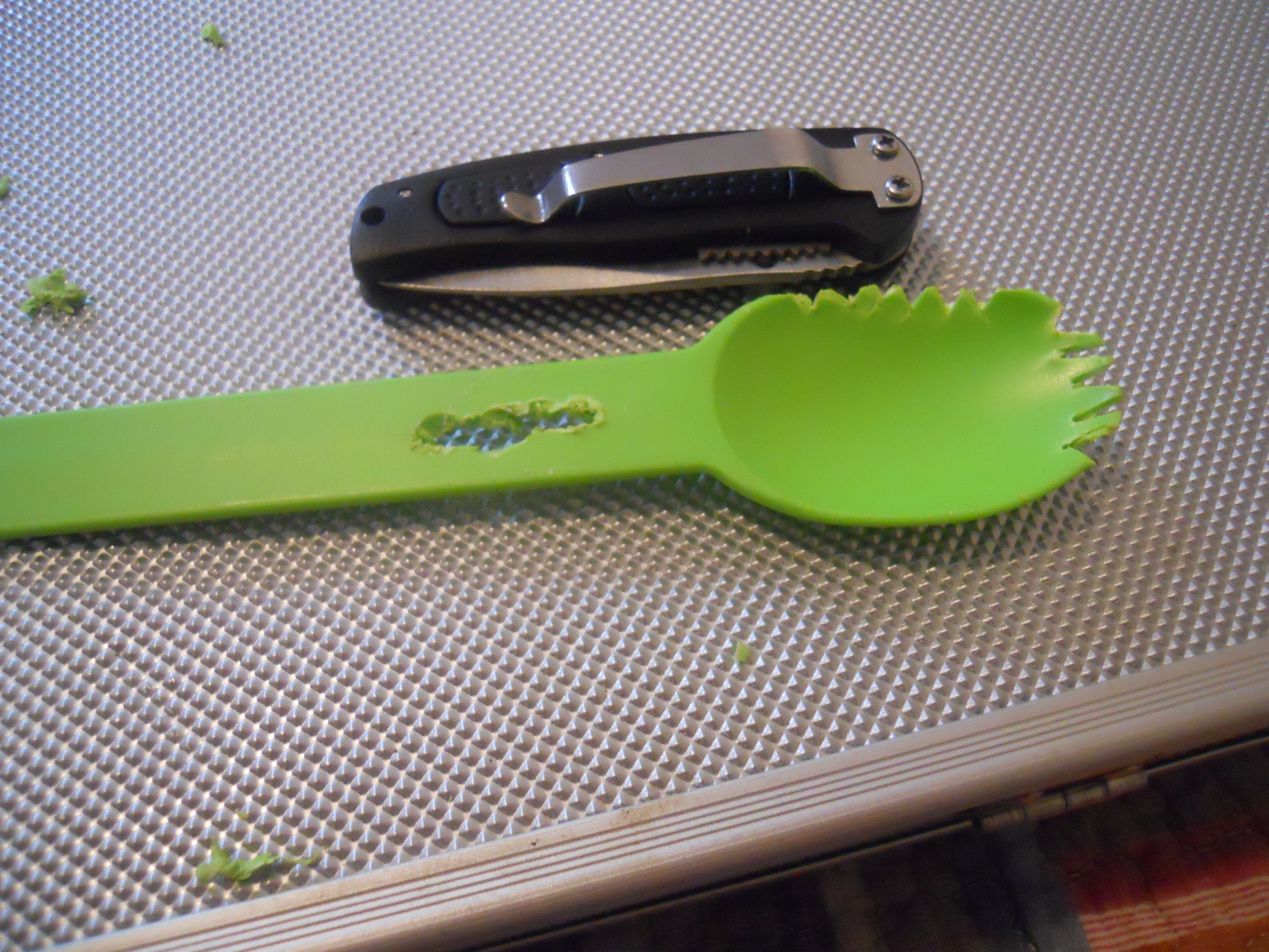 DSCN1798.JPG