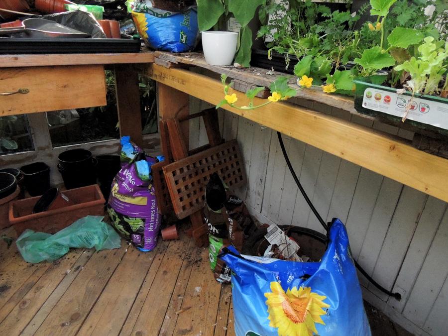 DSCN2368.jpg