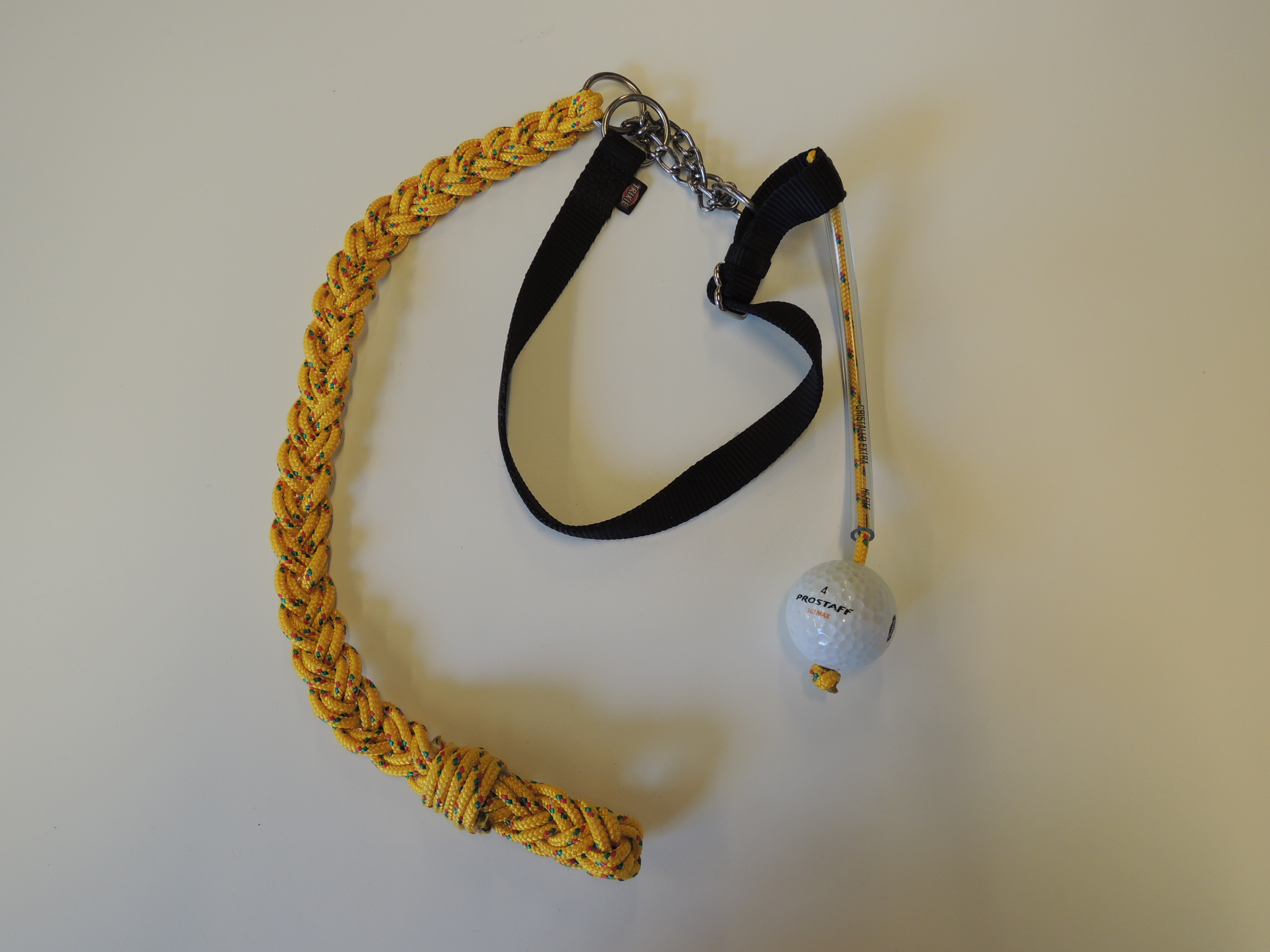 DSCN2718.JPG