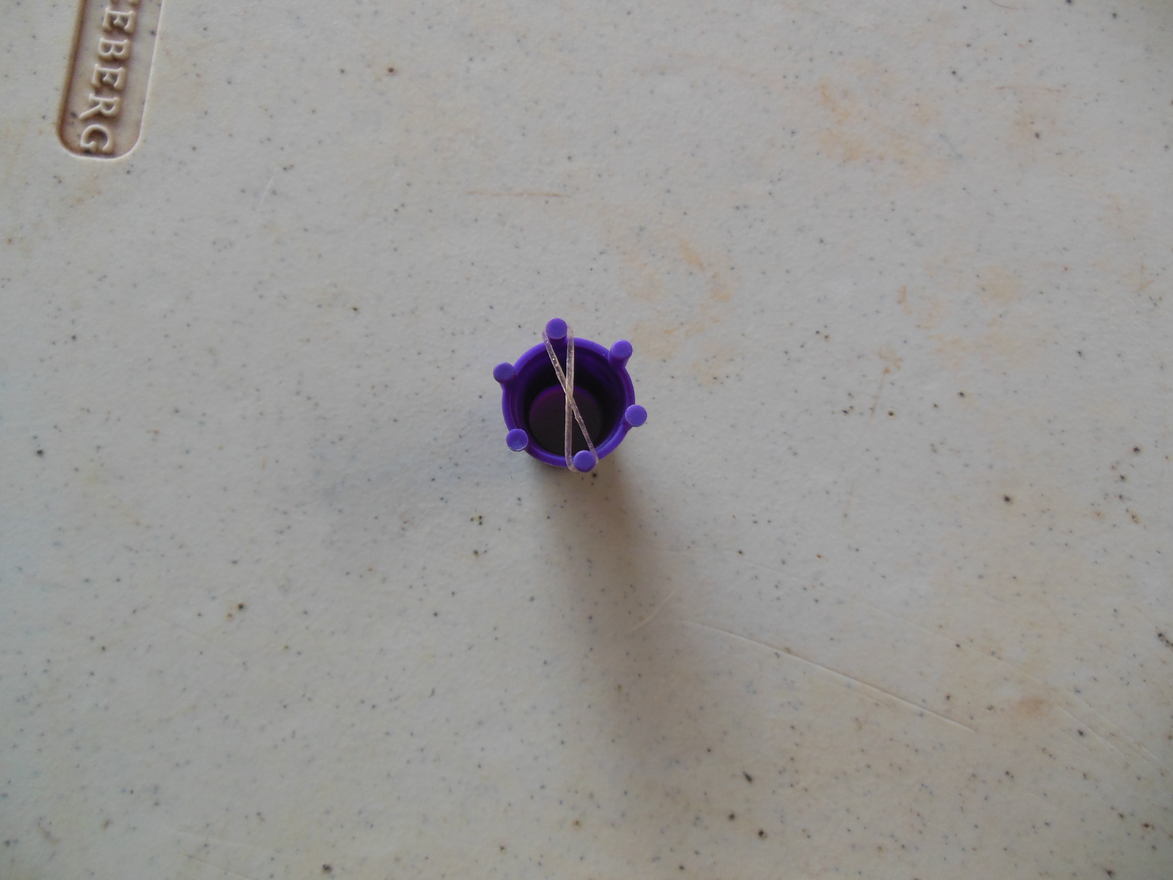 DSCN2973.JPG
