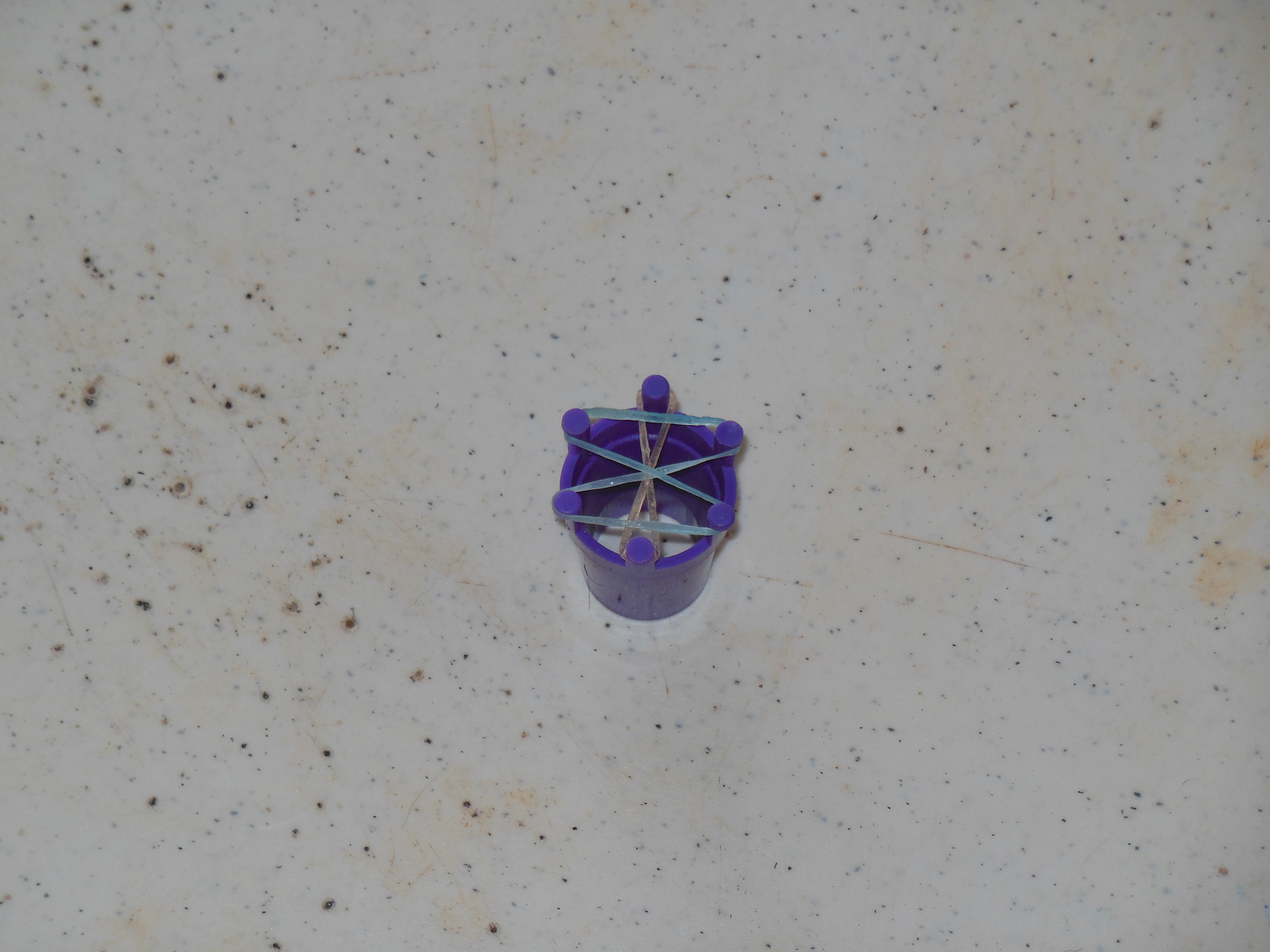 DSCN2980.JPG