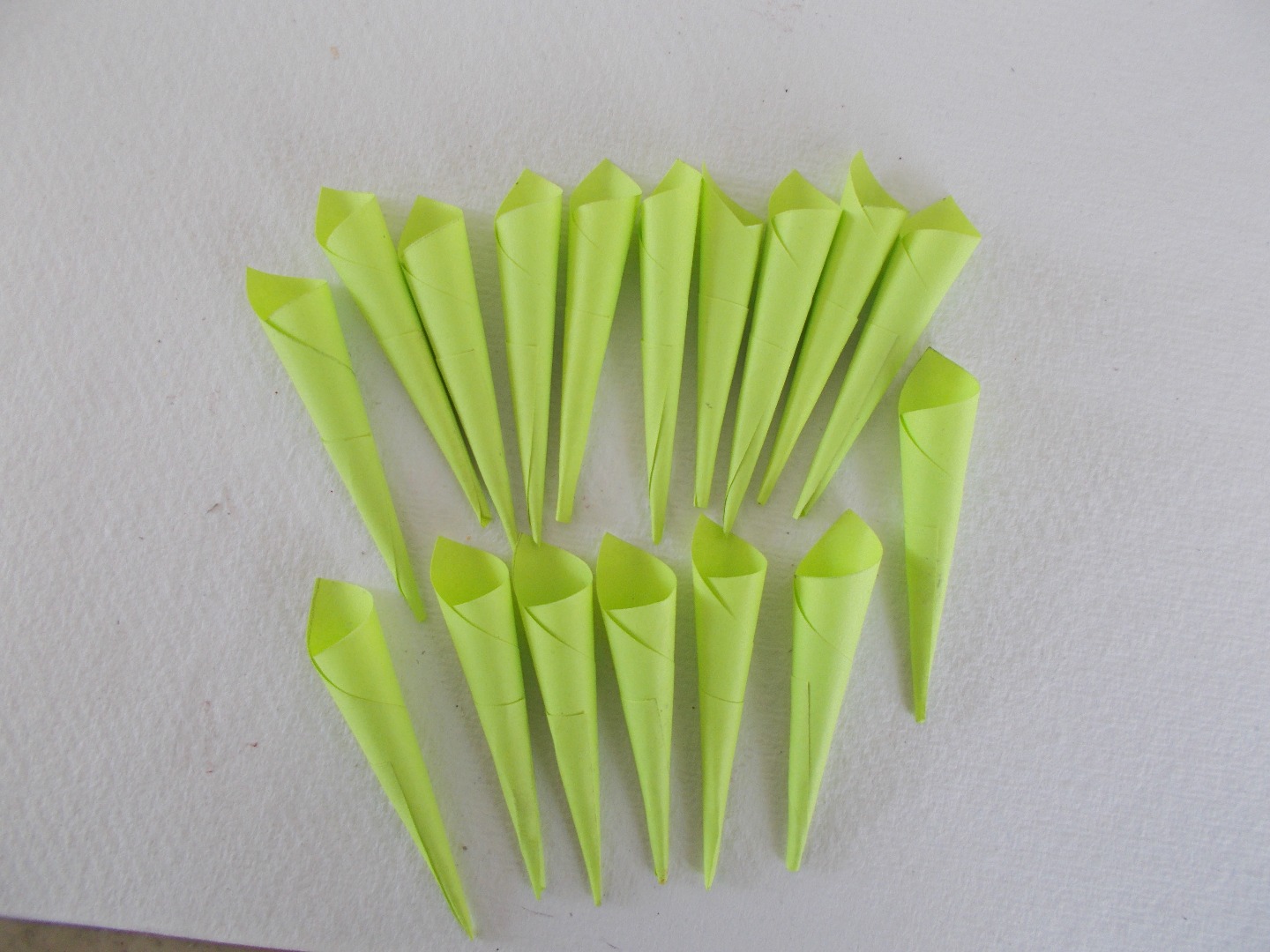 DSCN3086.JPG