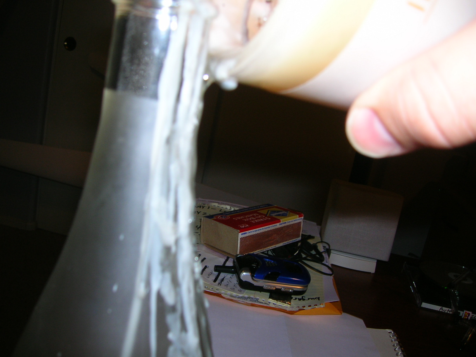 DSCN4174.JPG