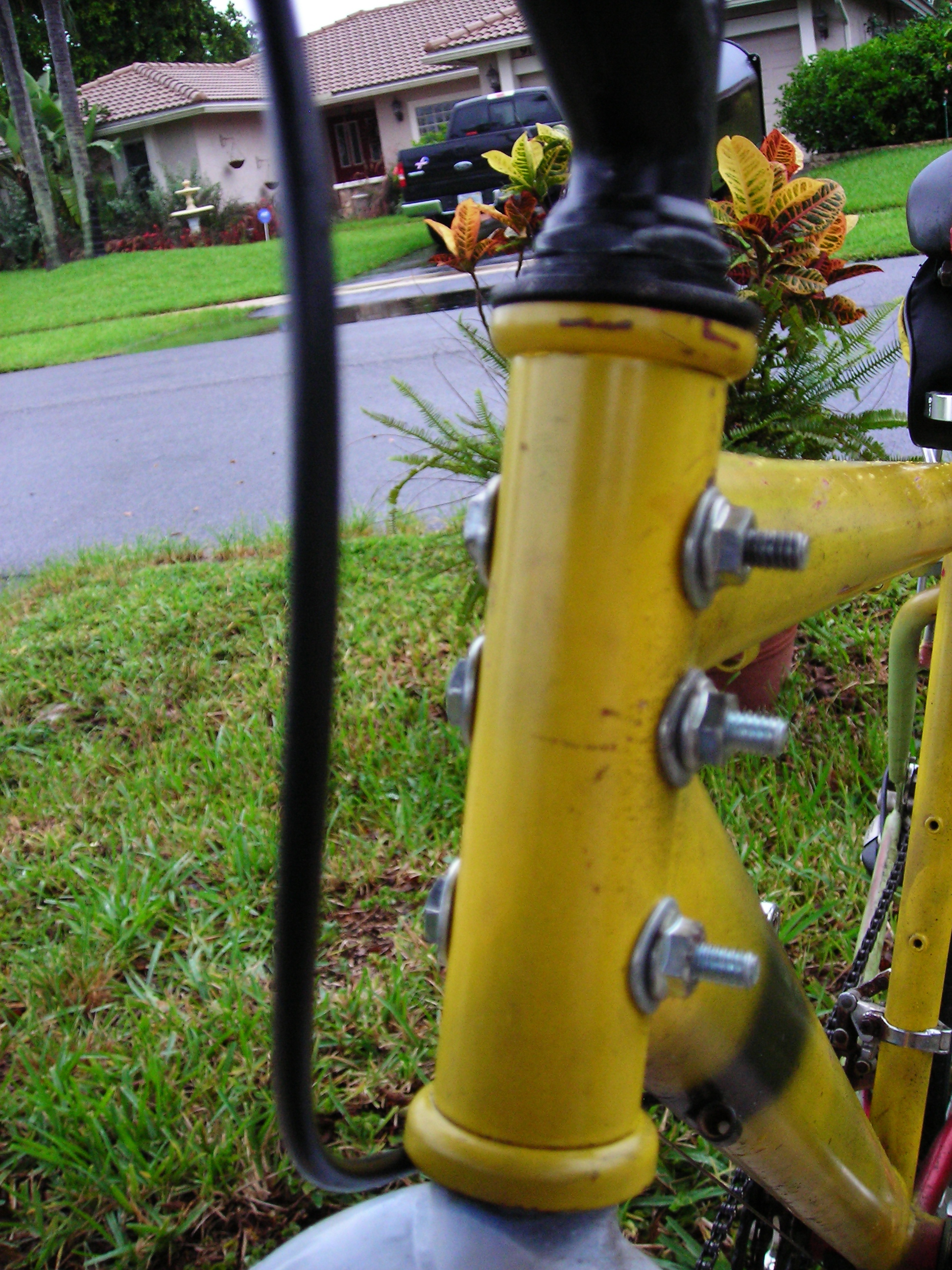 DSCN4485.JPG