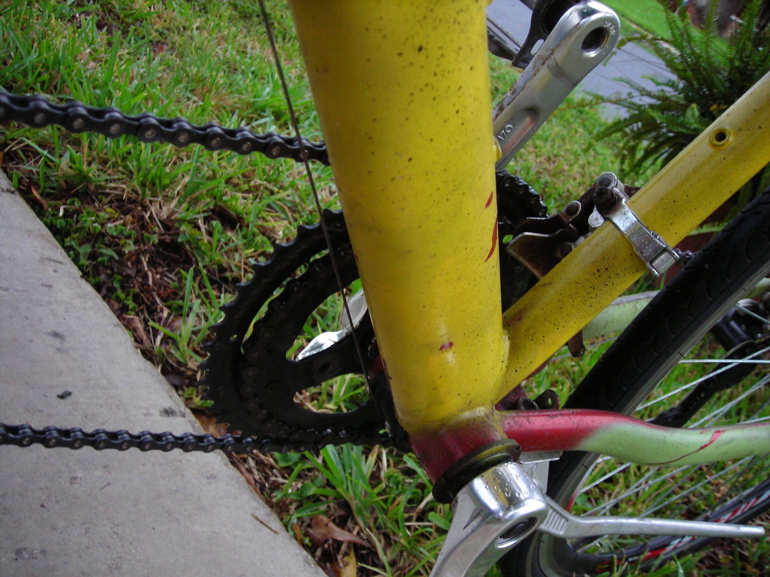 DSCN4486.JPG